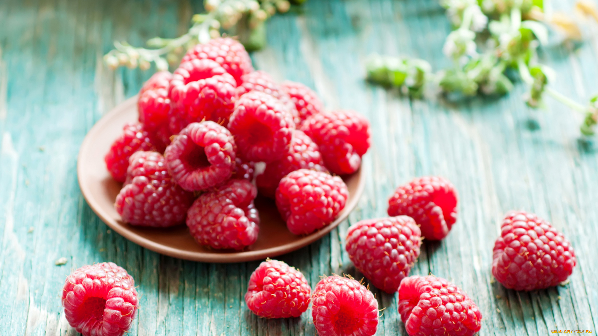 еда, малина, ягоды, спелая