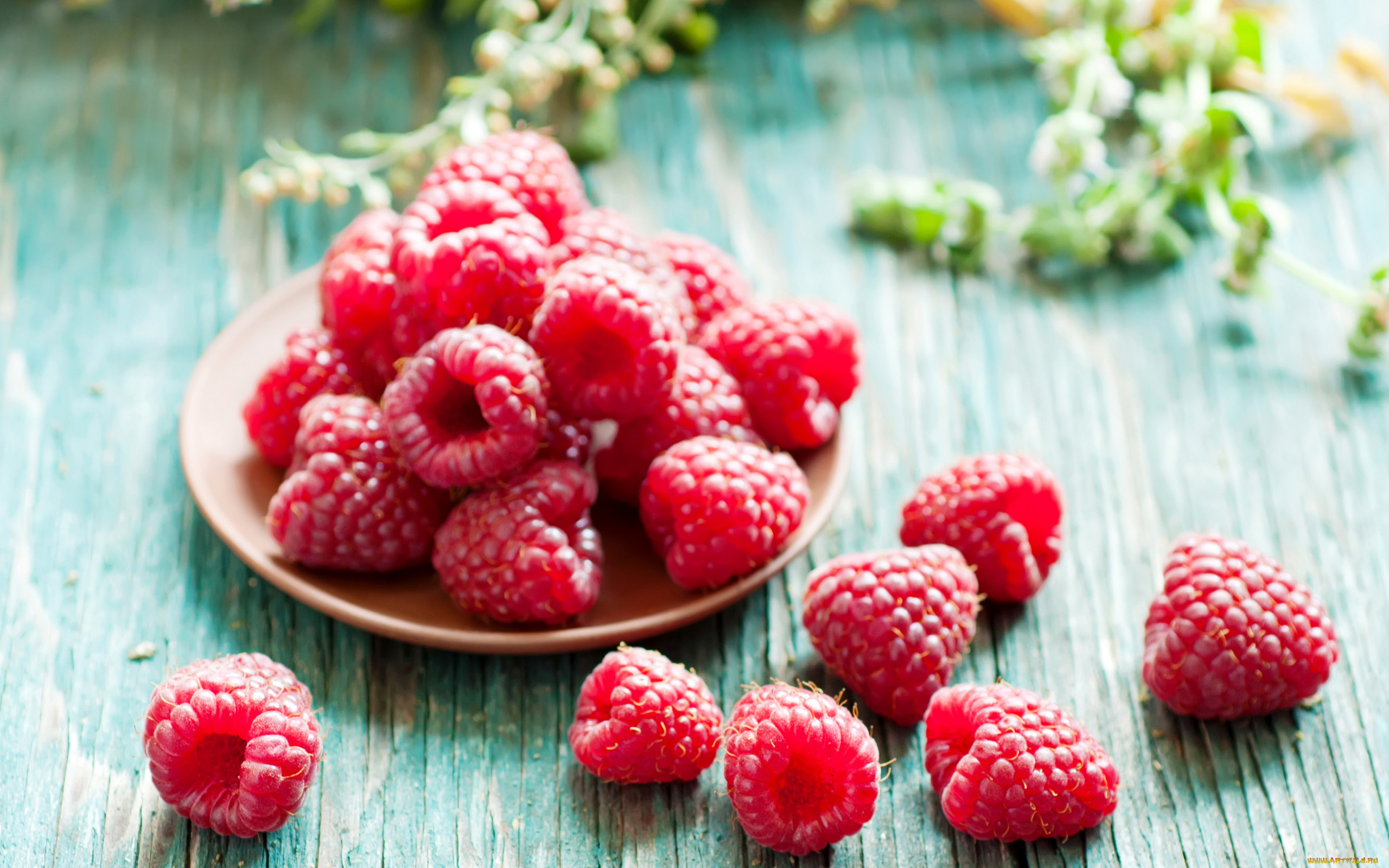 еда, малина, ягоды, спелая