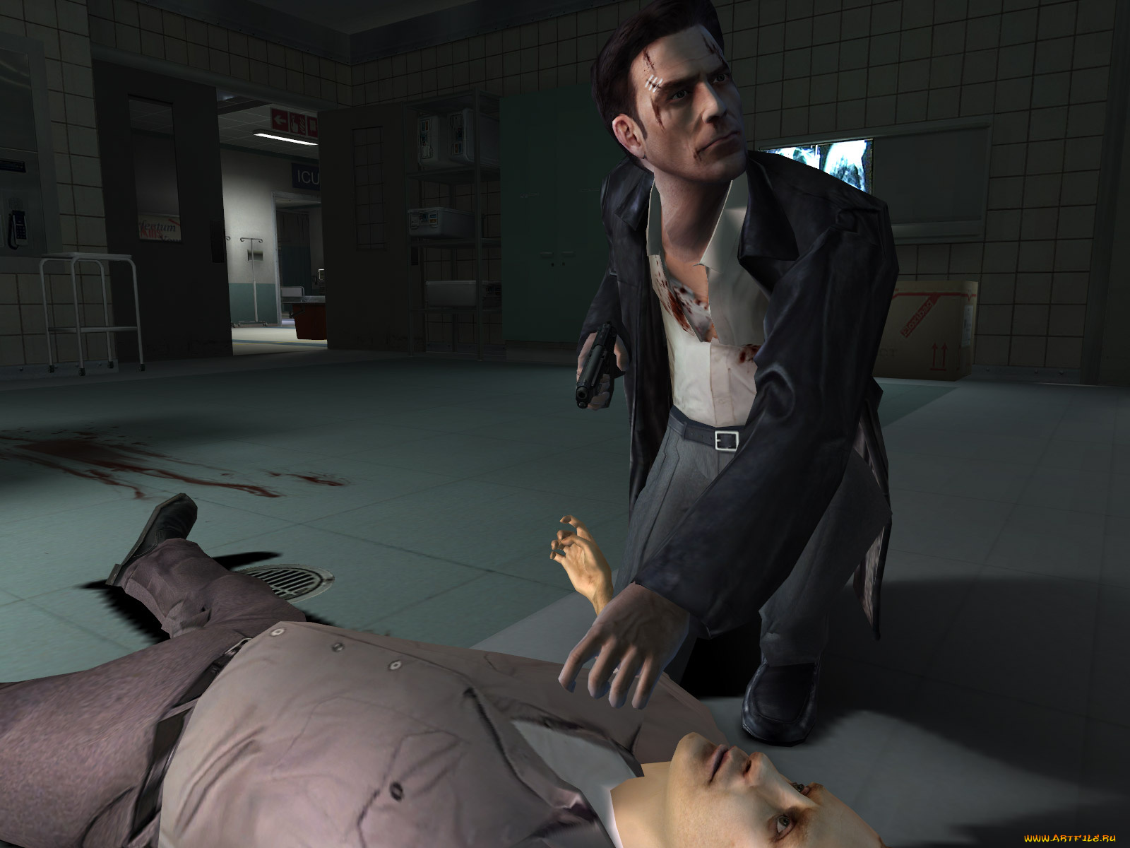 видео, игры, max, payne, the, fall, of