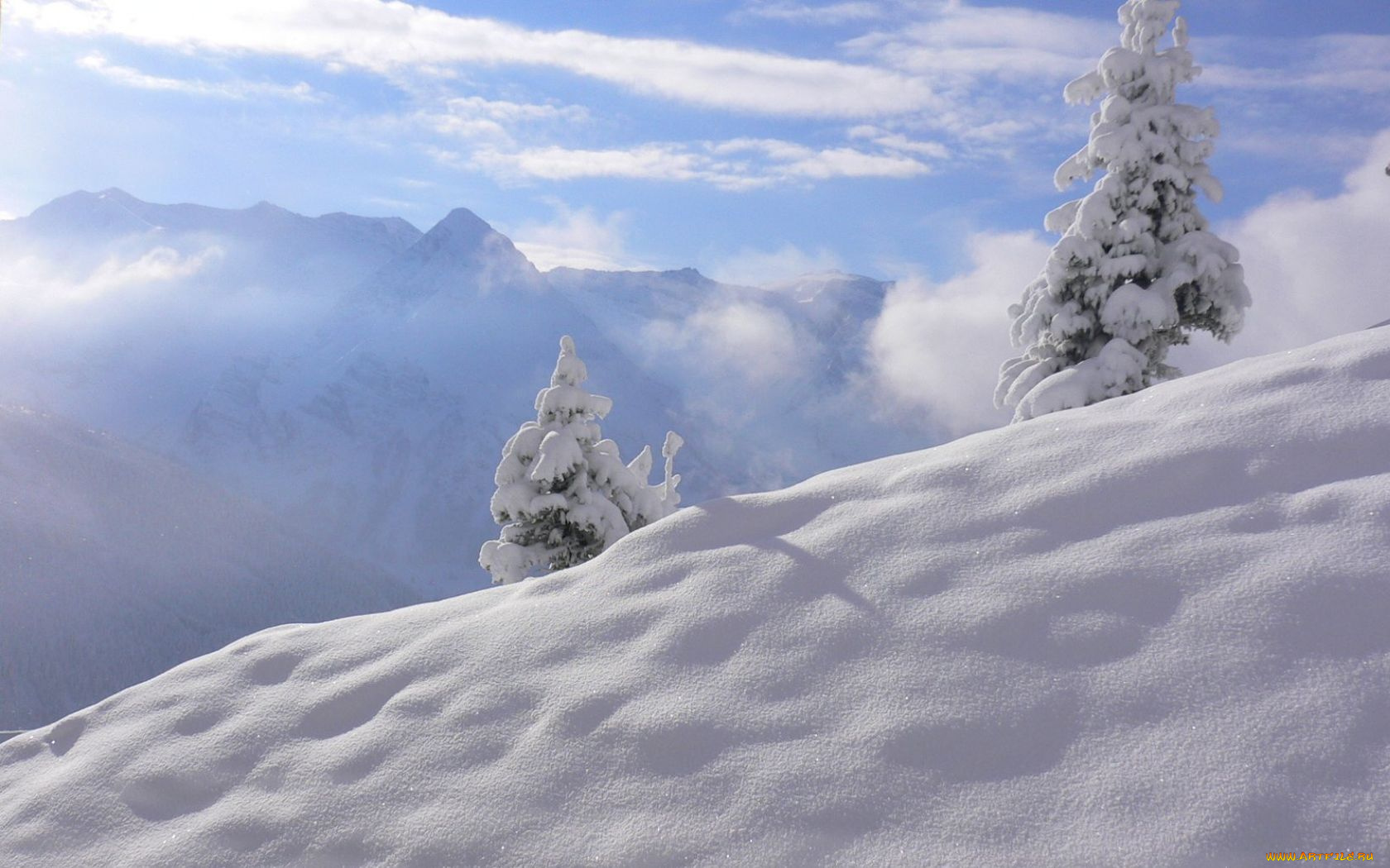 природа, зима