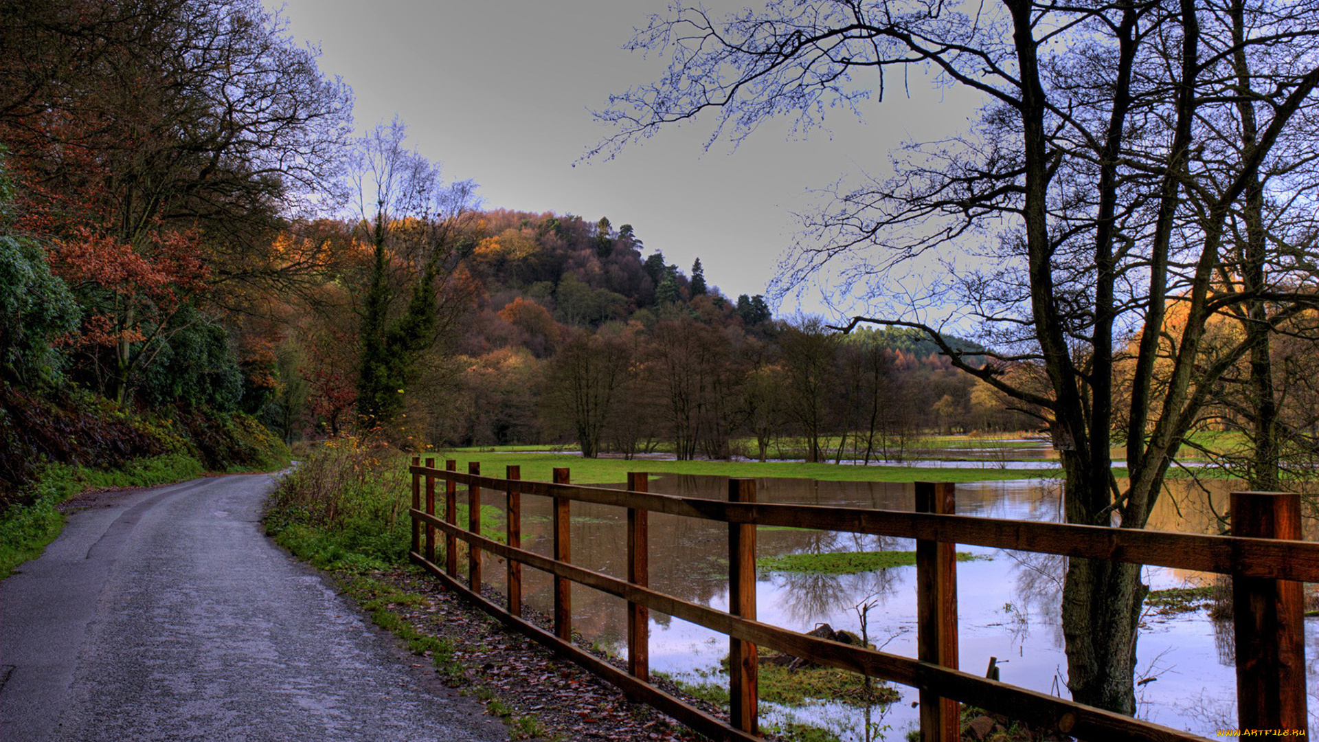 природа, дороги