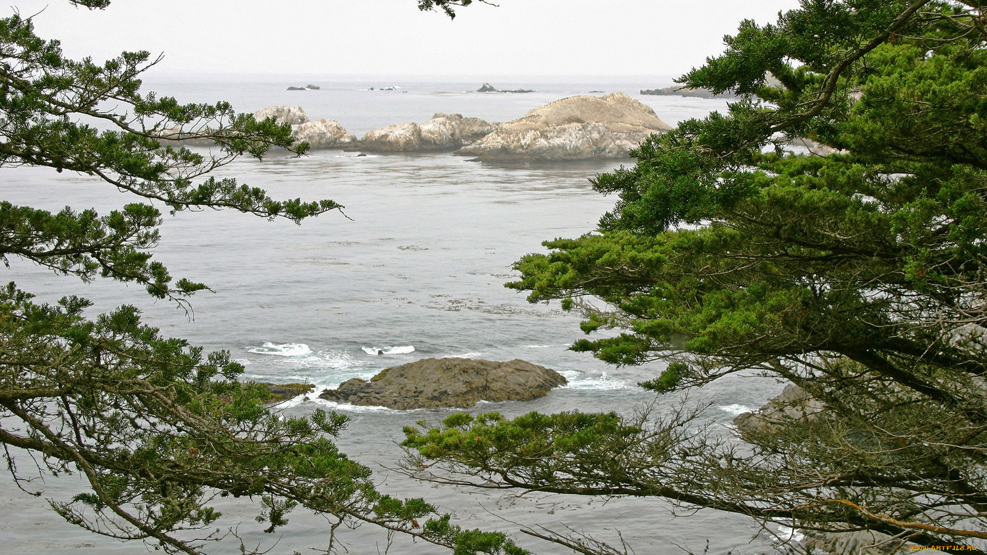 природа, побережье