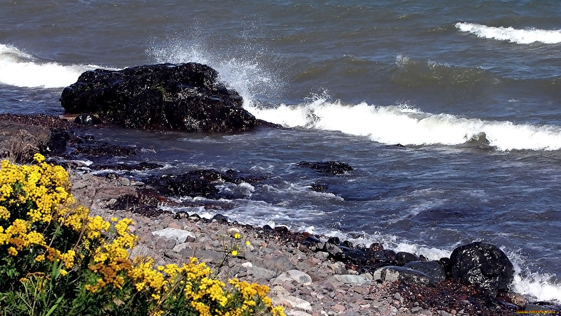 природа, побережье