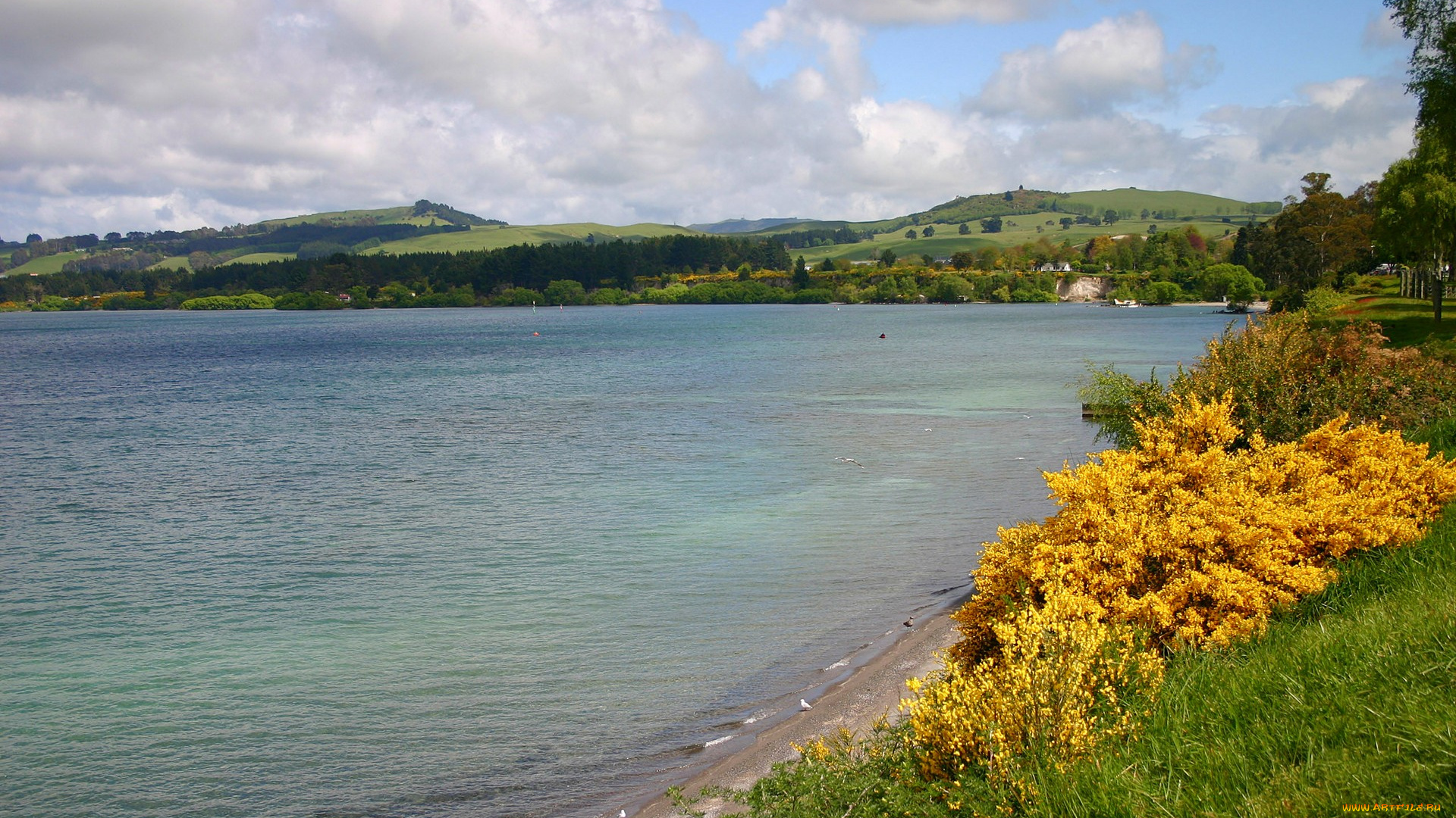 природа, реки, озера