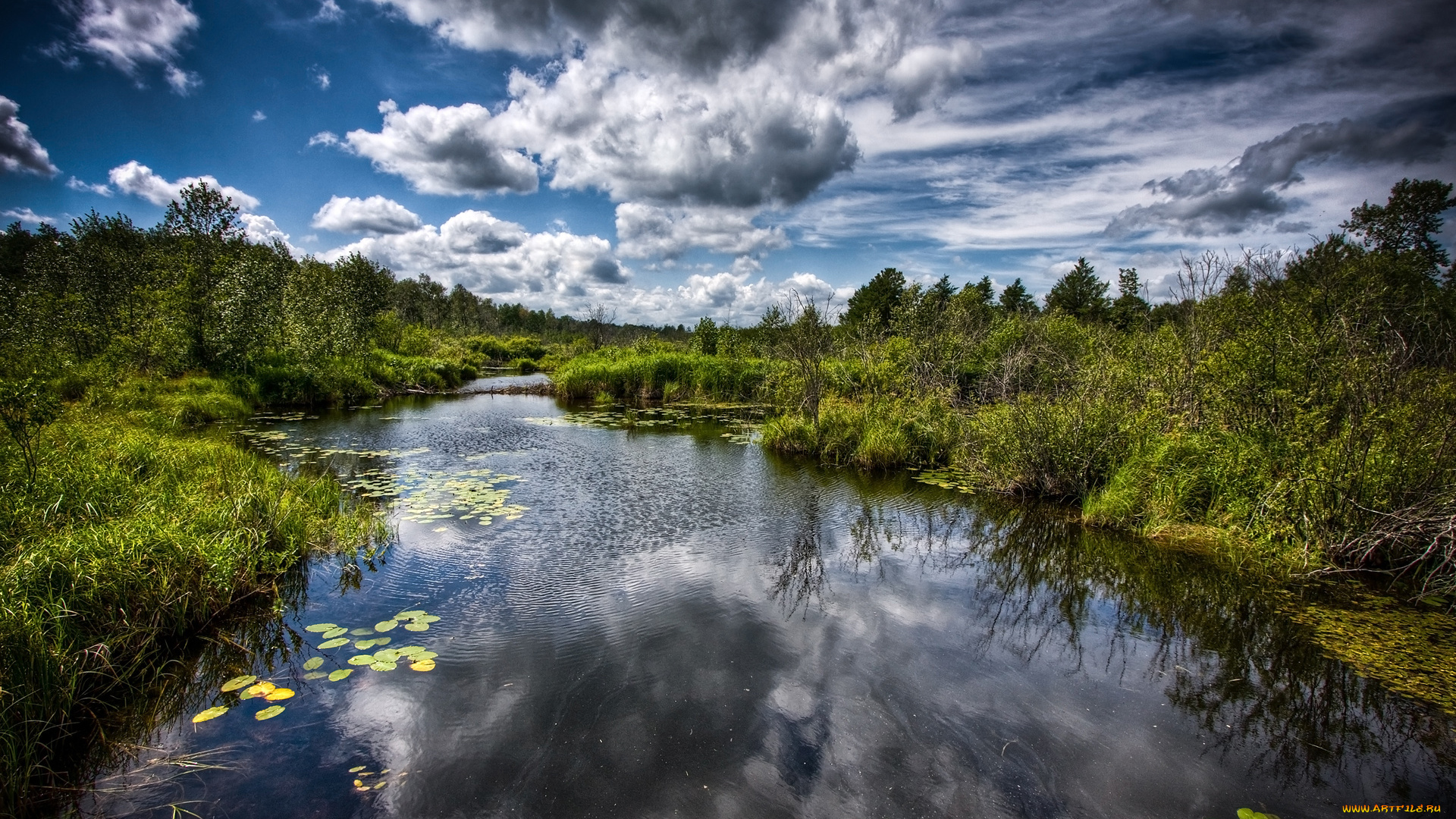 природа, реки, озера