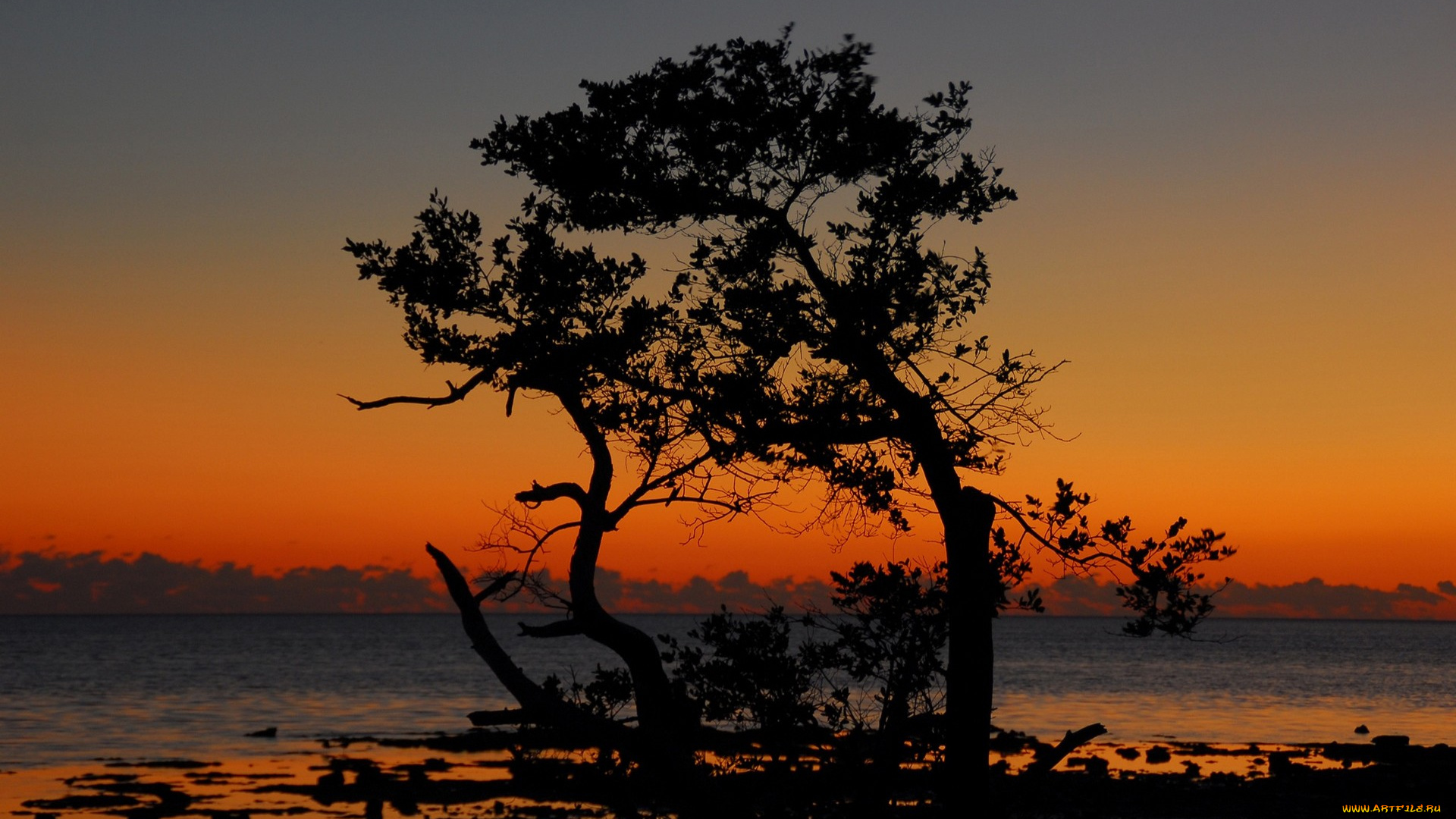 природа, восходы, закаты