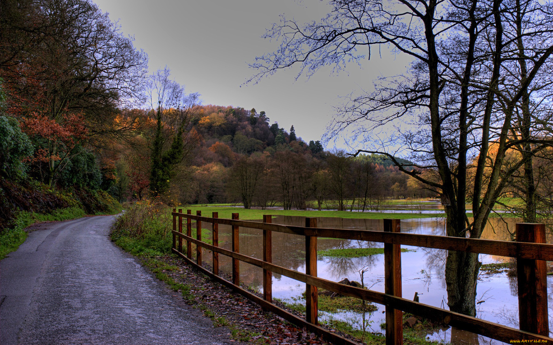 природа, дороги