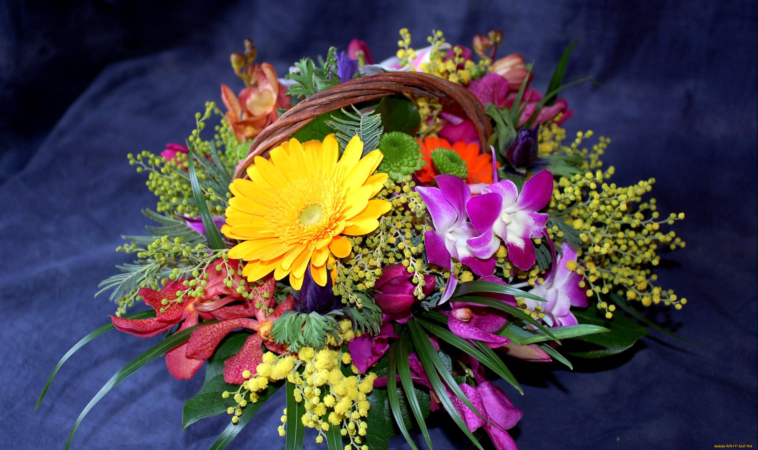 цветы, букеты, композиции, гербера, орхидея, мимоза, хризантема