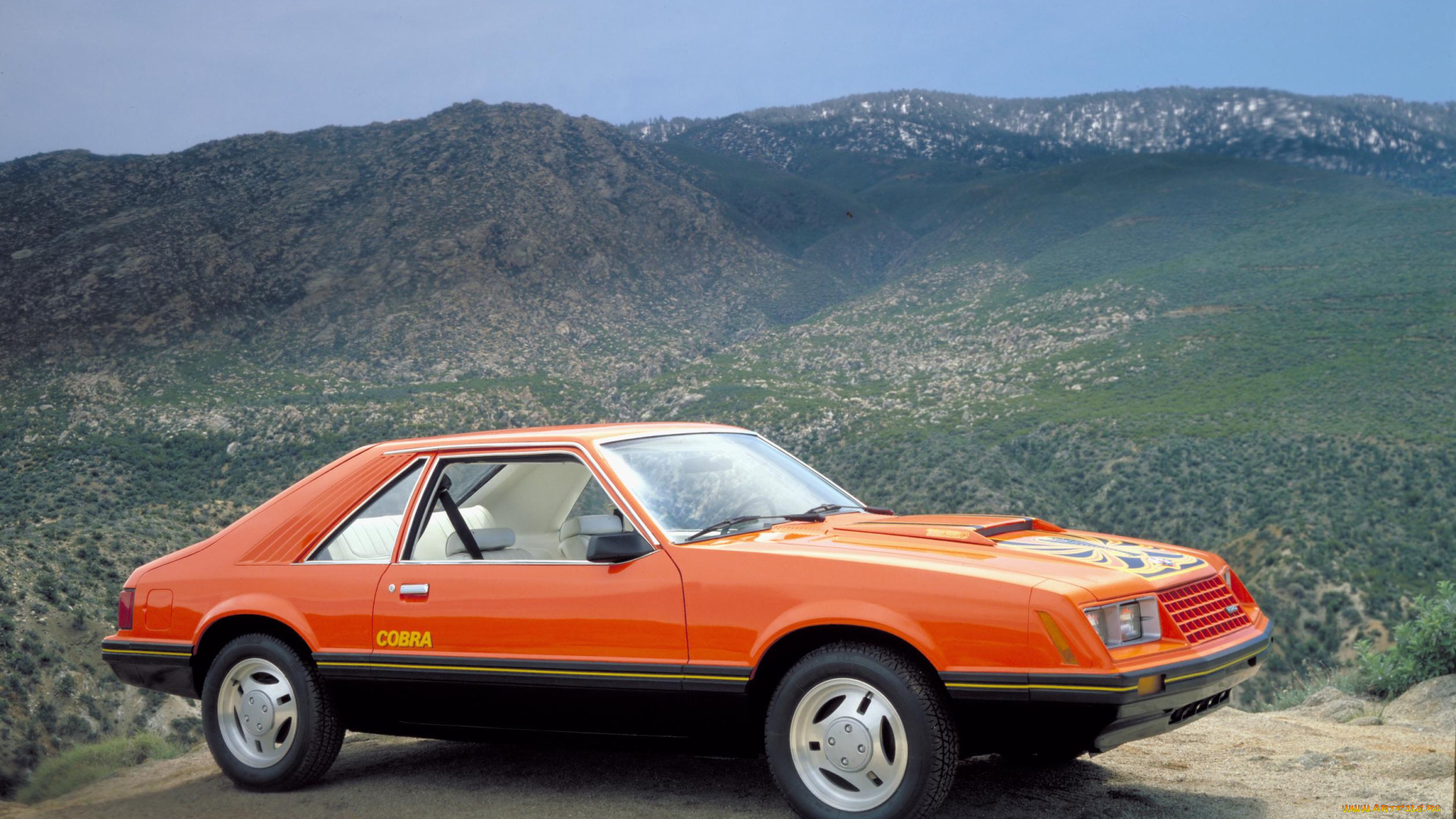 1979, ford, mustang, cobra, автомобили, mustang