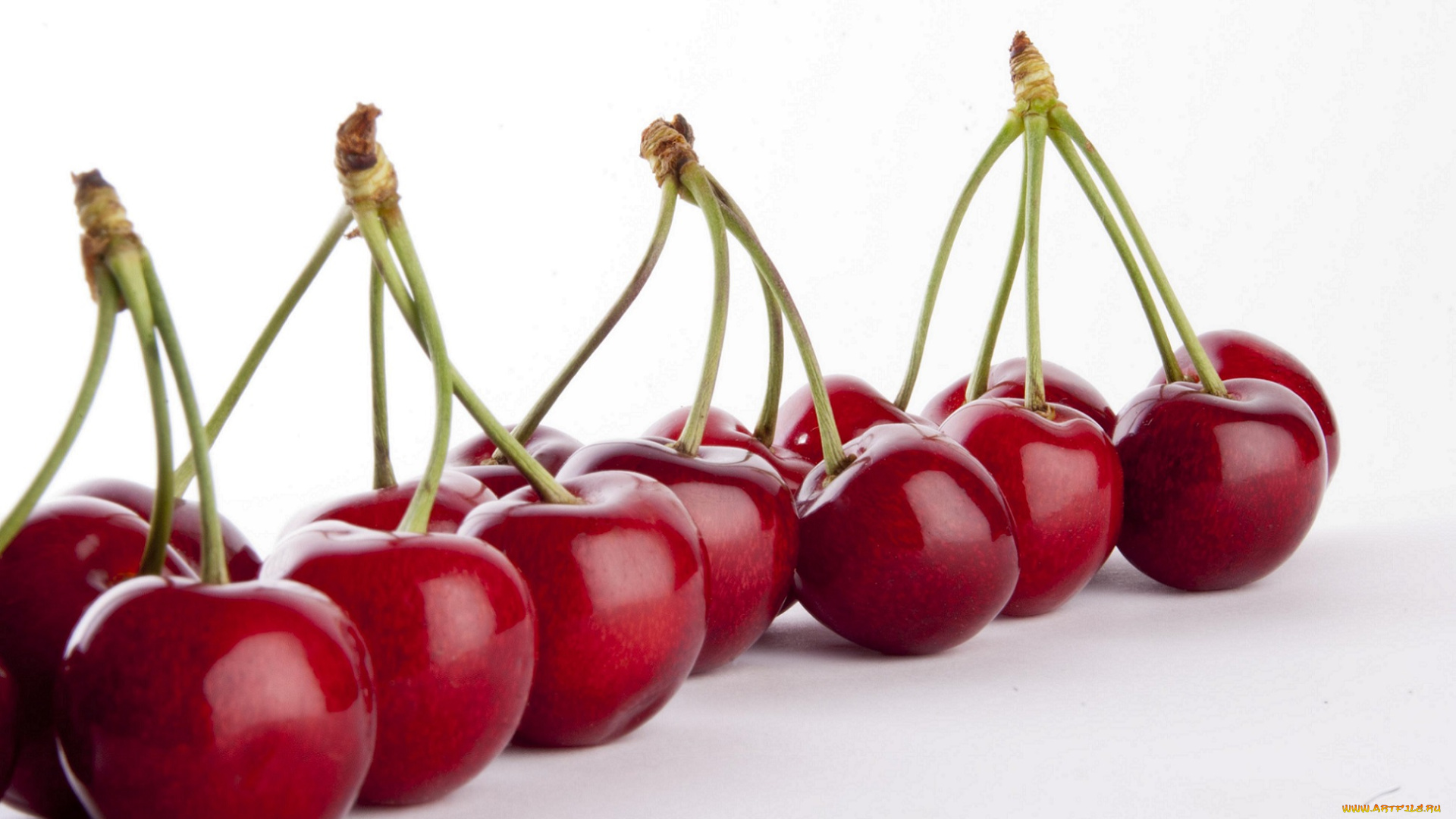 еда, вишня, , черешня, вишни, в, ряд, белый, фон, ягоды