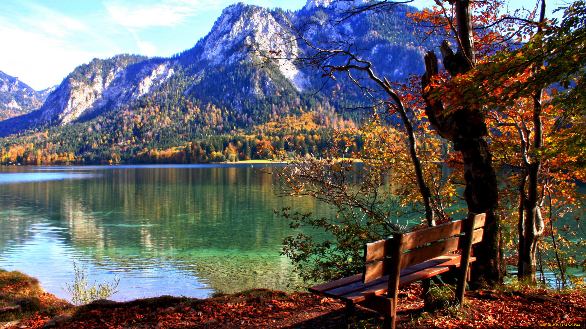 германия, бавария, швангау, природа, реки, озера, бавария, германия, лес, река, горы, швангау