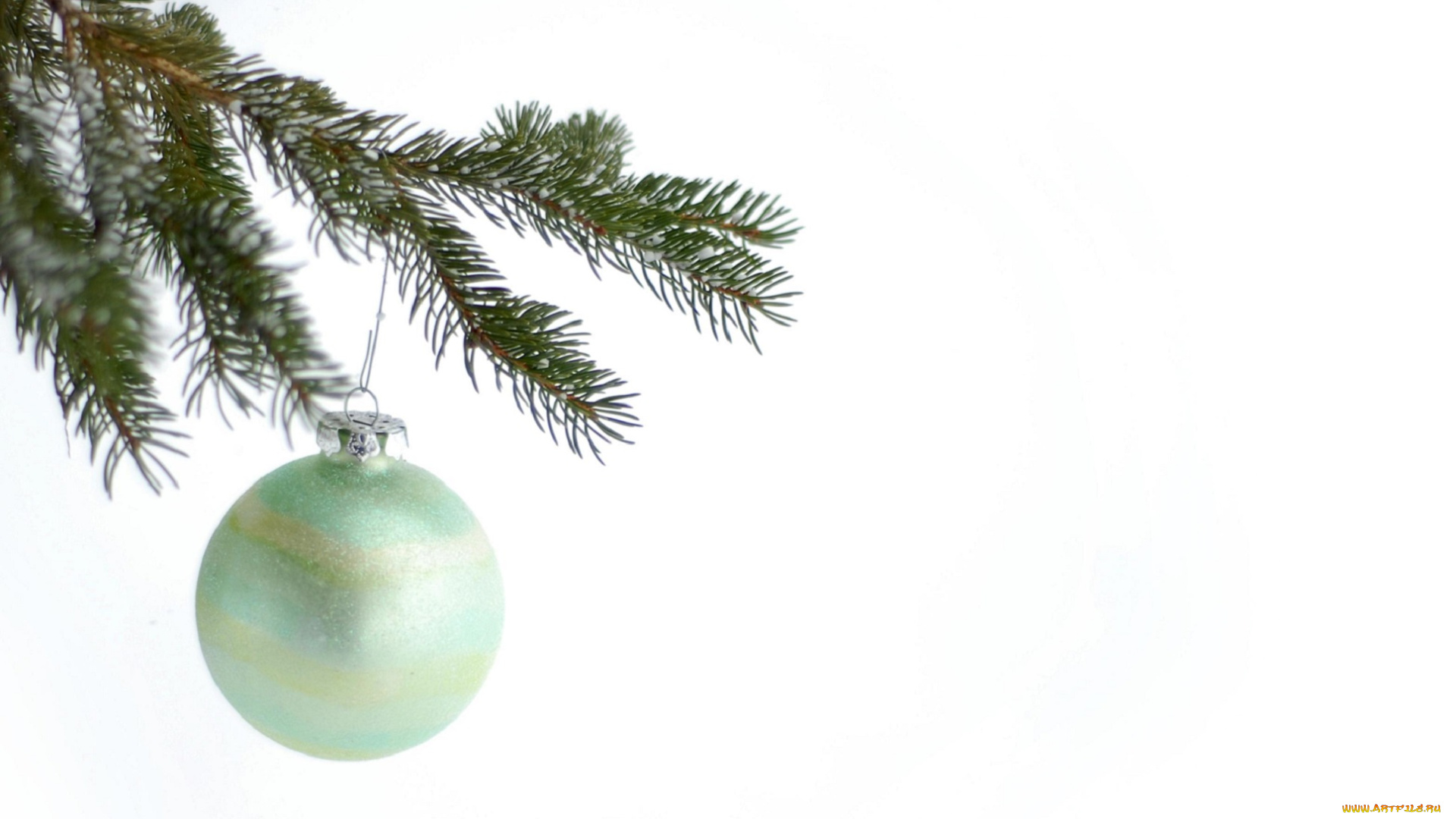 праздничные, -, shaры, белый, фон, веточка, ель, иголки, шар, новый, год