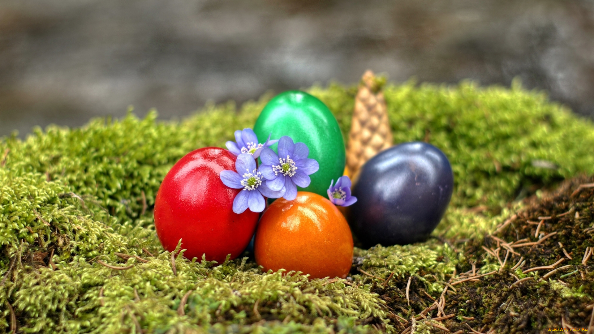 праздничные, пасха, цветы, яйца, мох, шишка