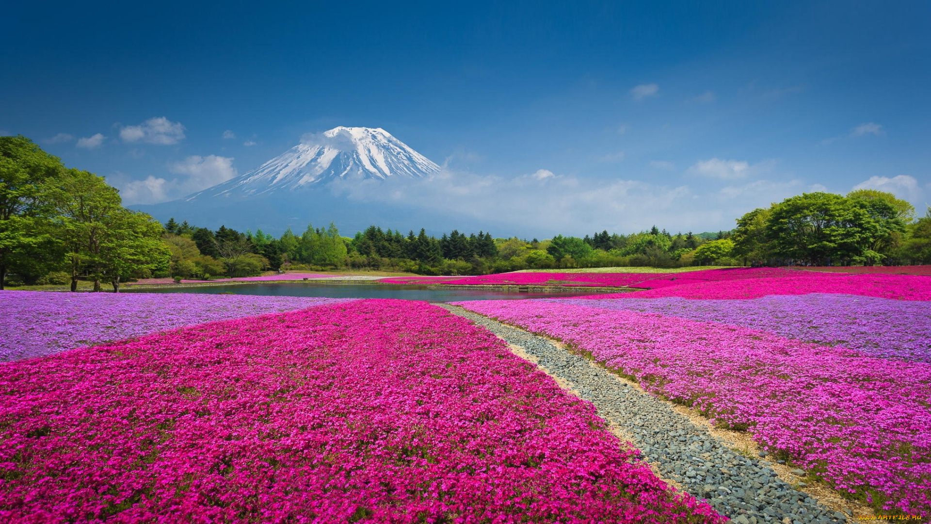 природа, поля, клумба, вулкан, цветы, гора, китай, лес, парк