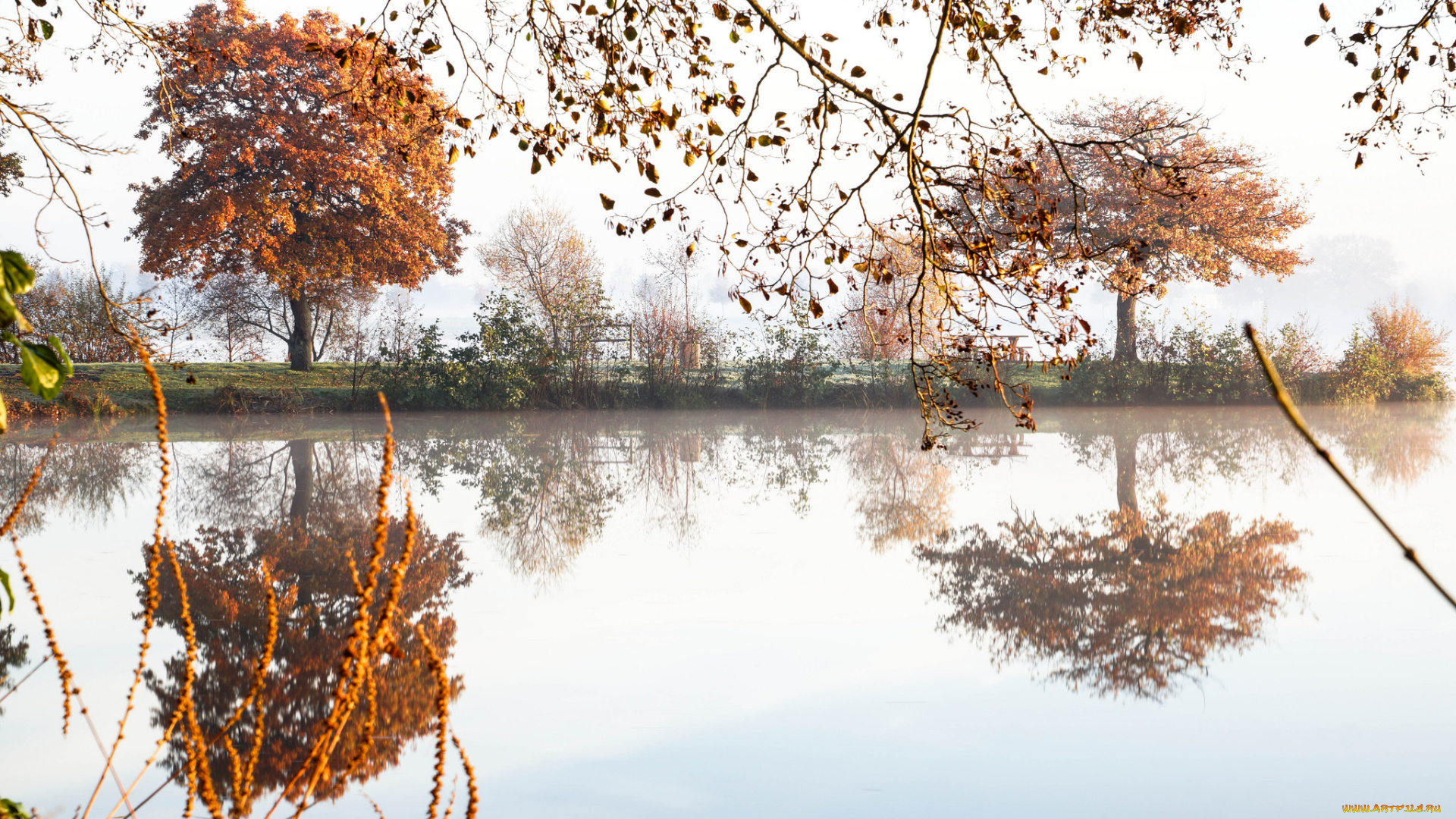 природа, реки, озера, река, деревья, отражение