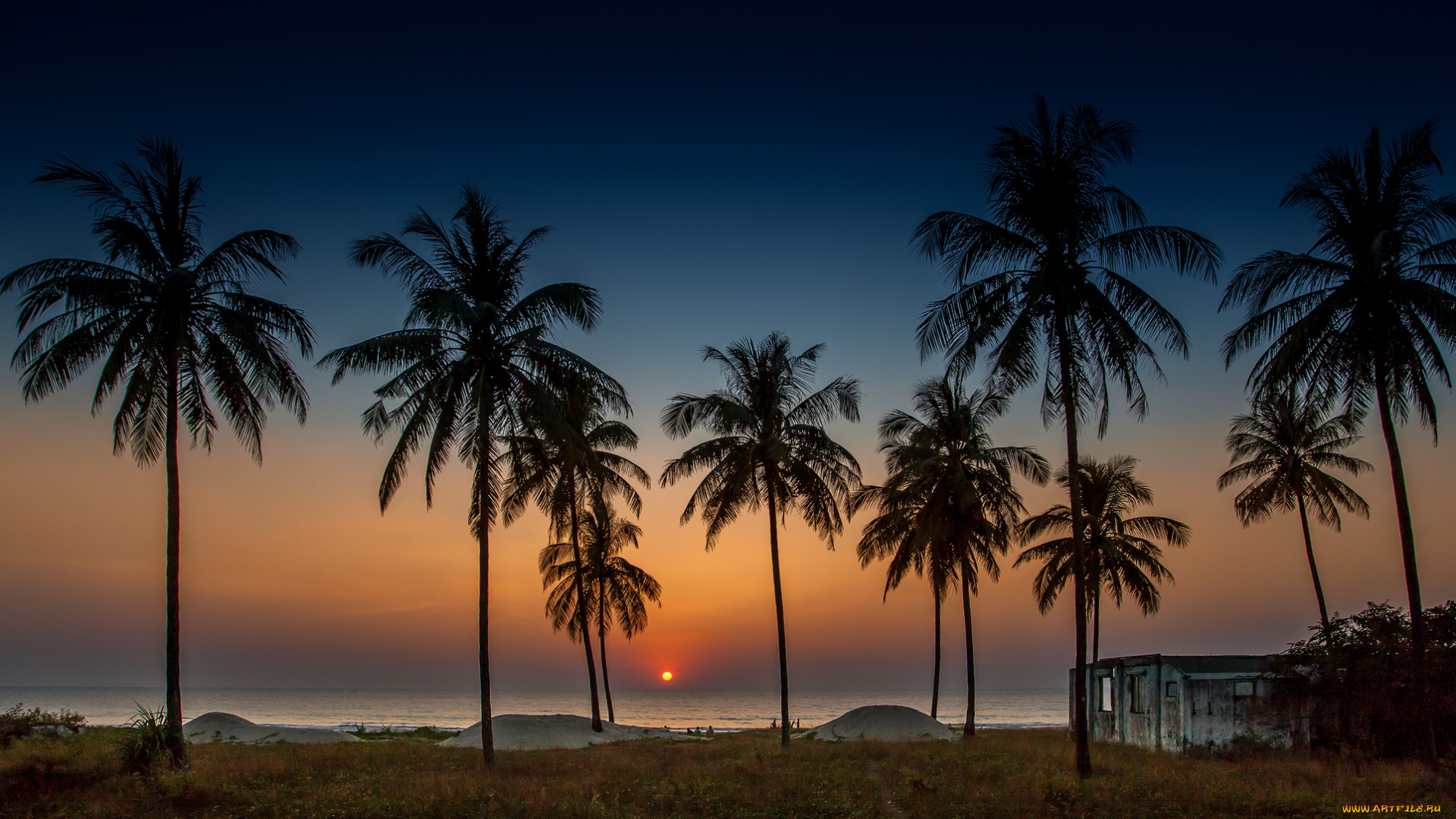 природа, тропики, пальмы, берег, океан, вечер, солнце, горизонт