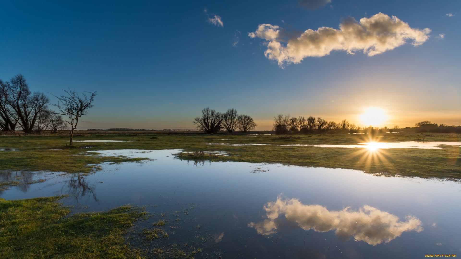 природа, восходы, закаты, вода, поле, утро, солнце