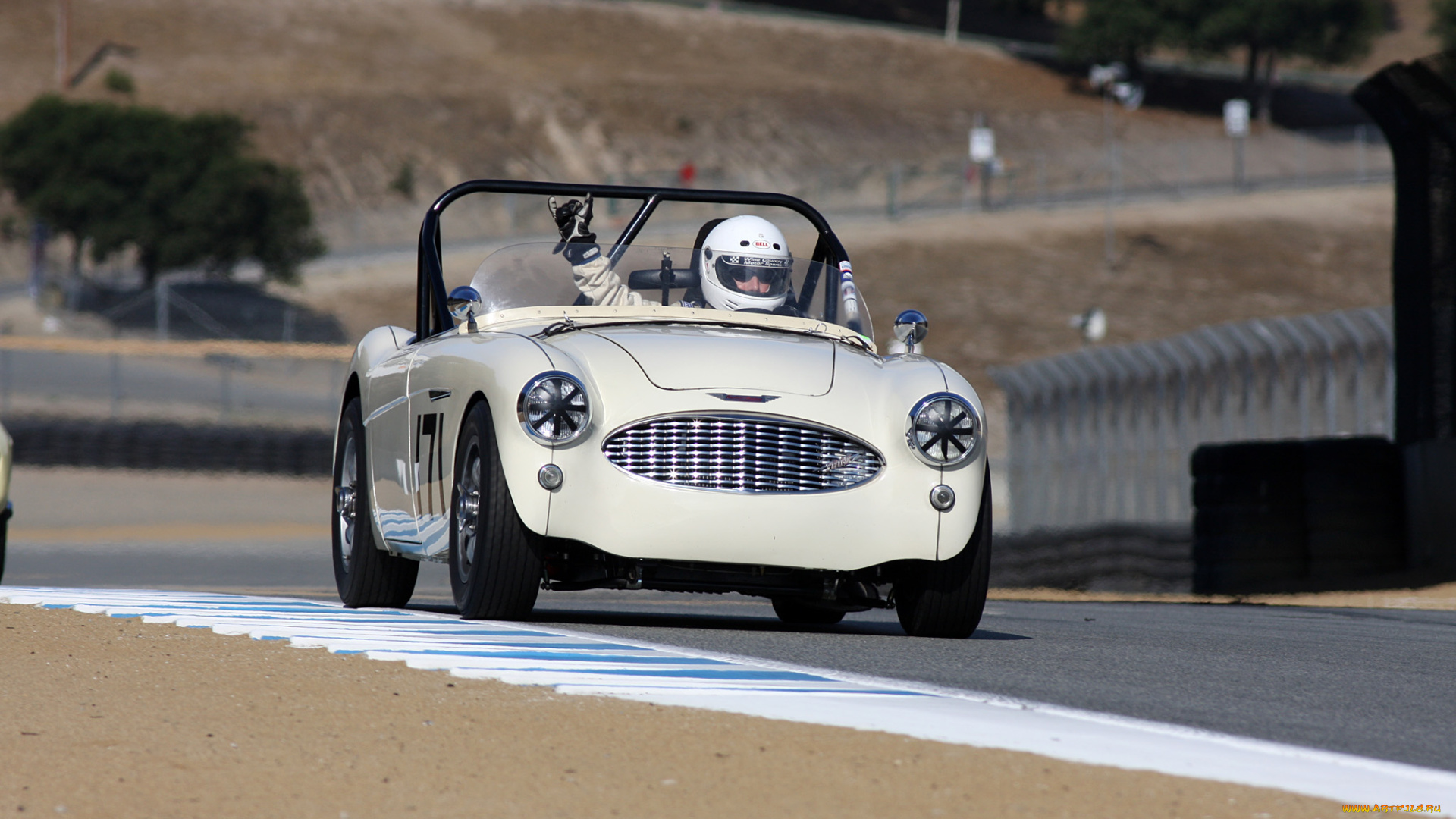 спорт, автоспорт, austin