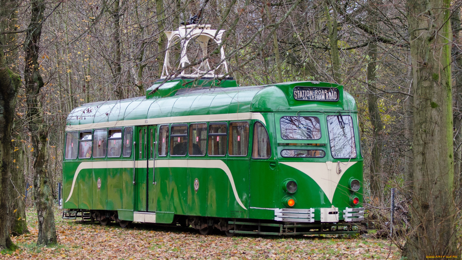 техника, трамваи, трамвай, опушка, лес