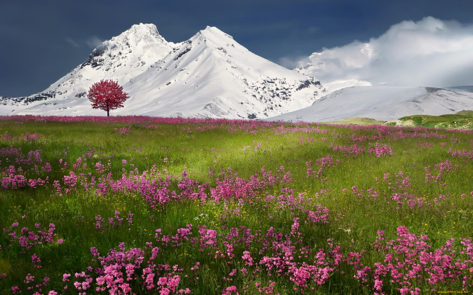 природа, луга, горы, снег, весна, зима