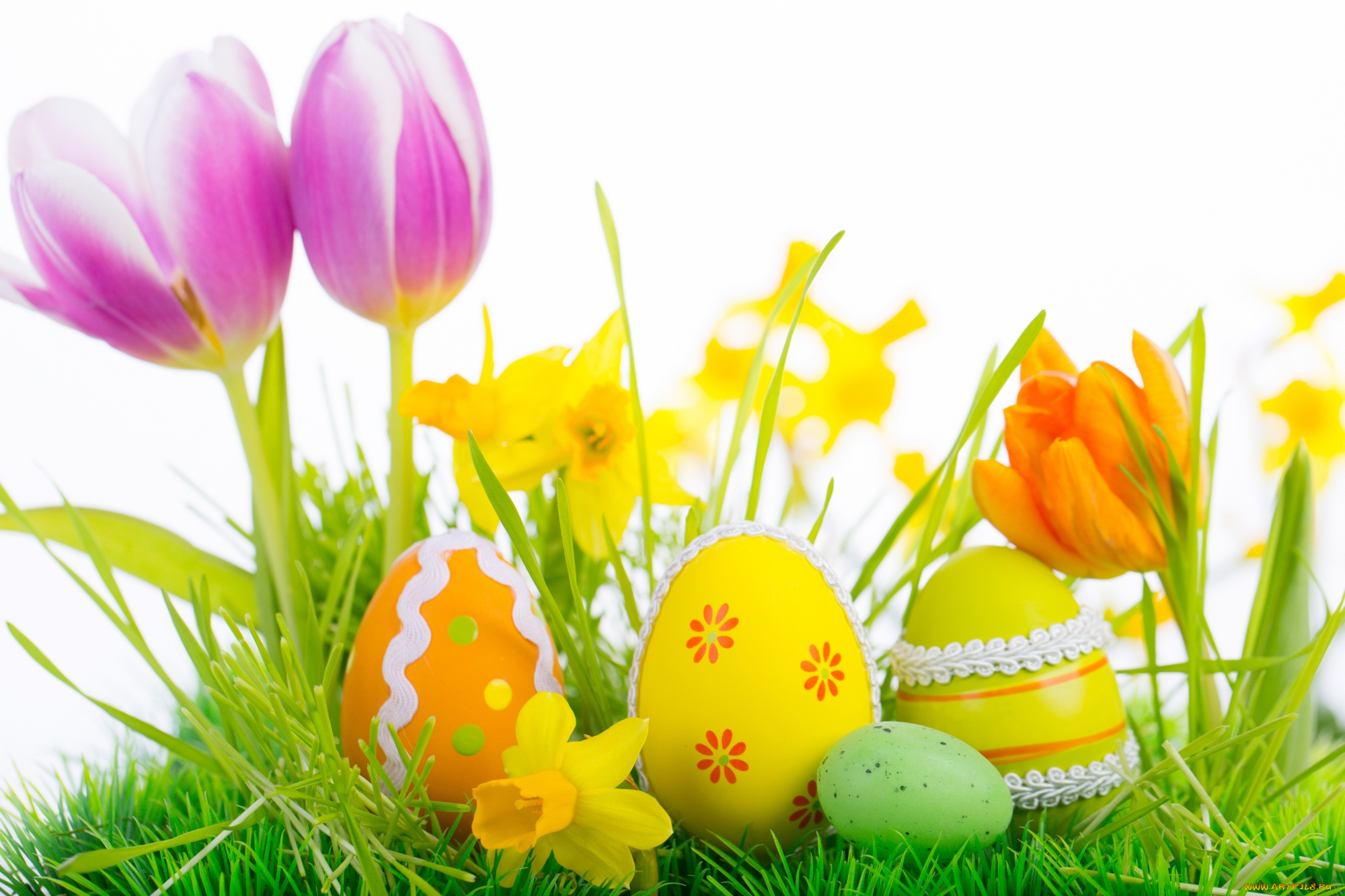 праздничные, пасха, цветы, тюльпаны, яйца