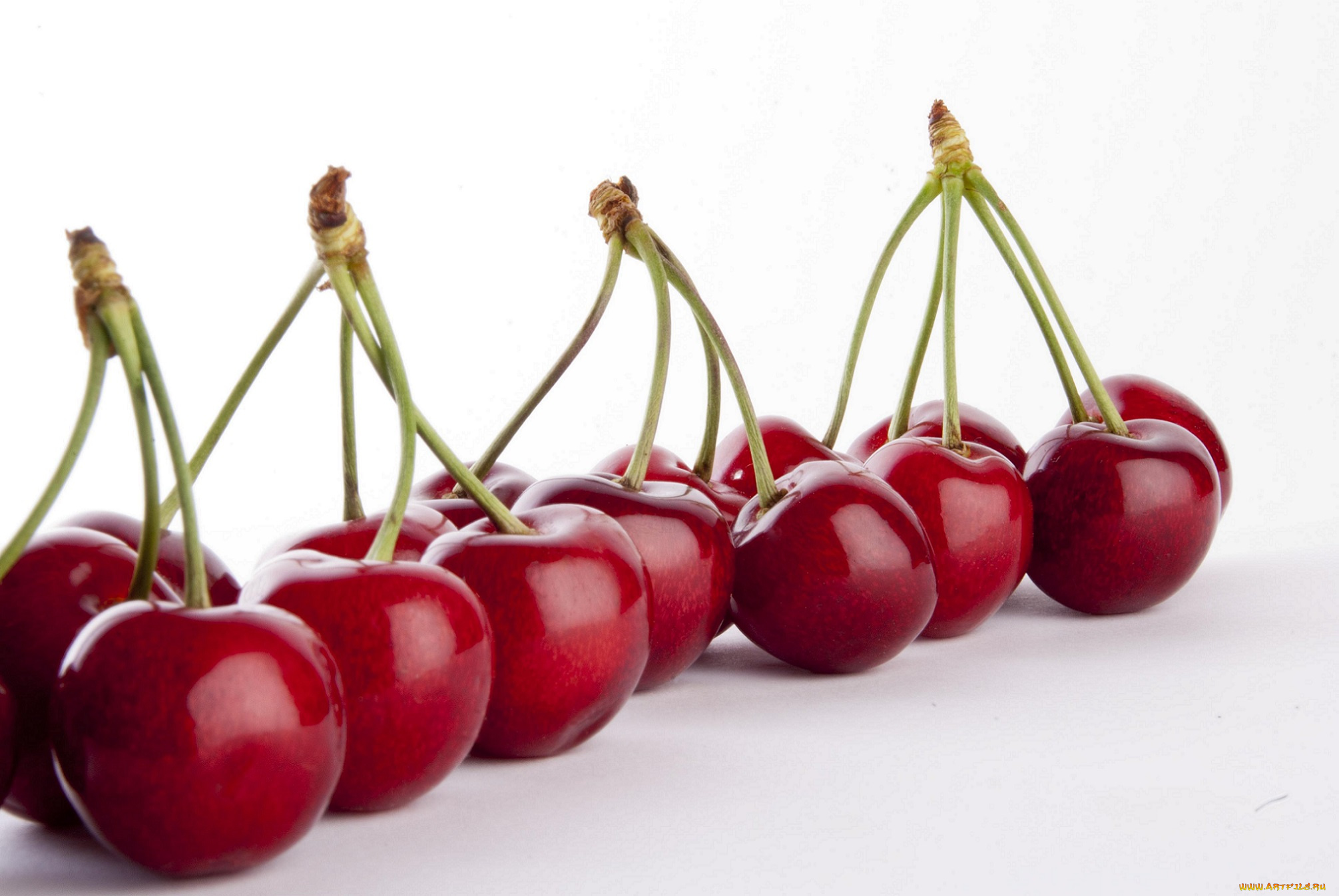еда, вишня, , черешня, вишни, в, ряд, белый, фон, ягоды