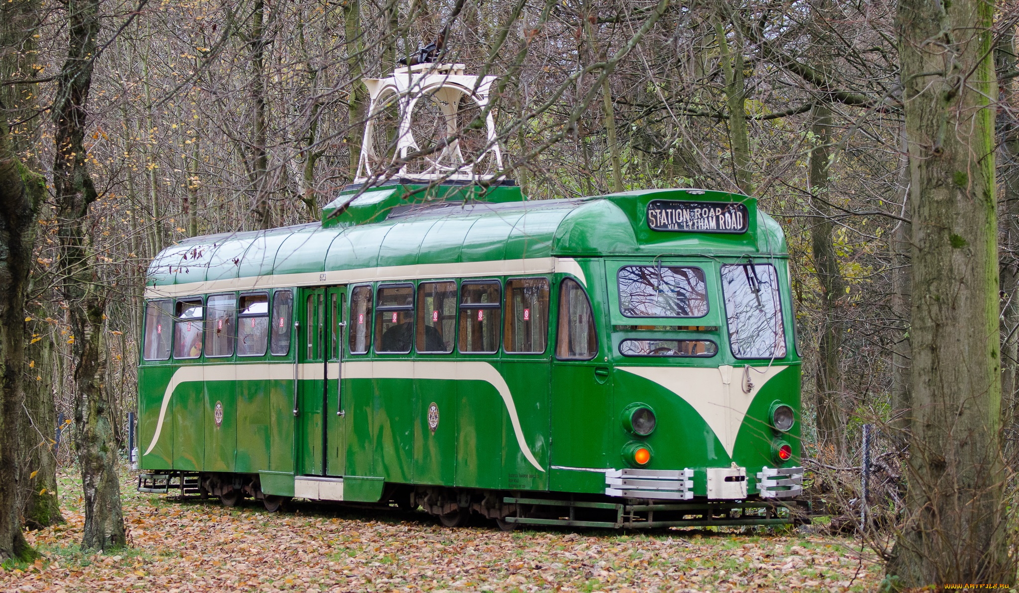 техника, трамваи, трамвай, опушка, лес