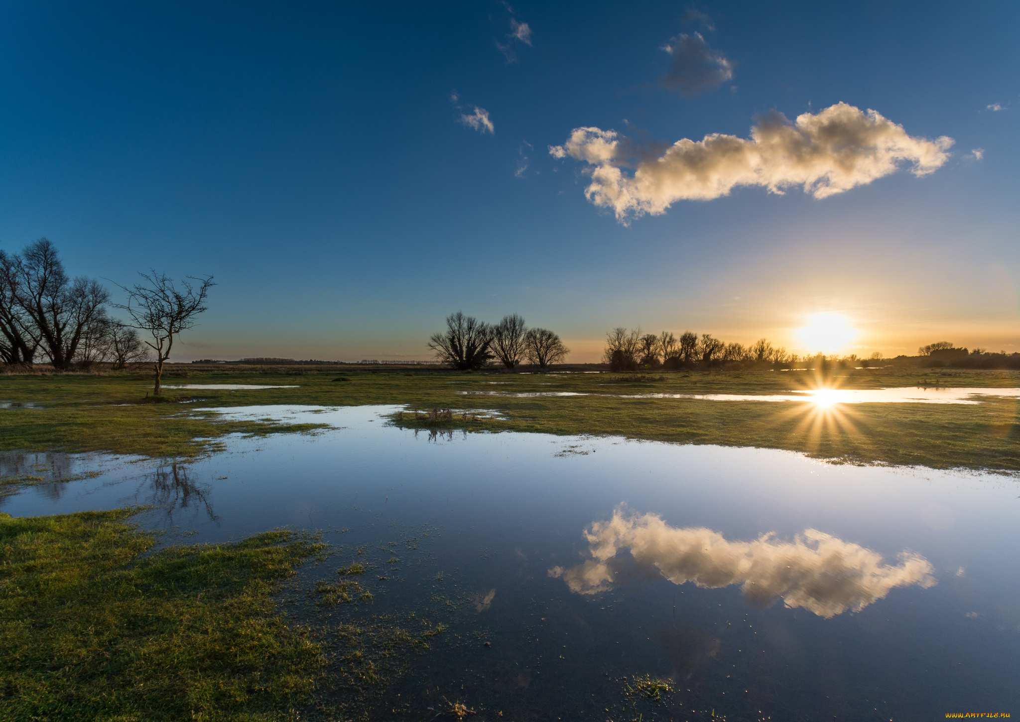 природа, восходы, закаты, вода, поле, утро, солнце