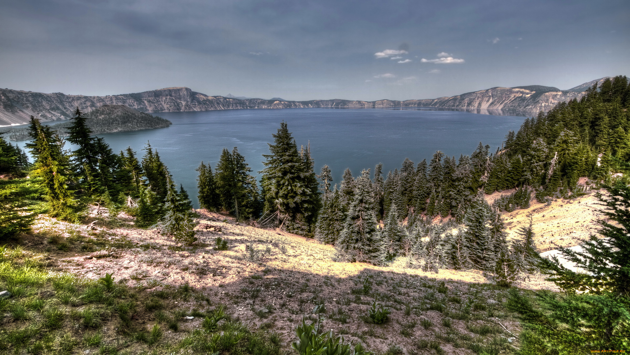 сша, калифорния, природа, реки, озера, калифорния, сша, трава, лес, озеро