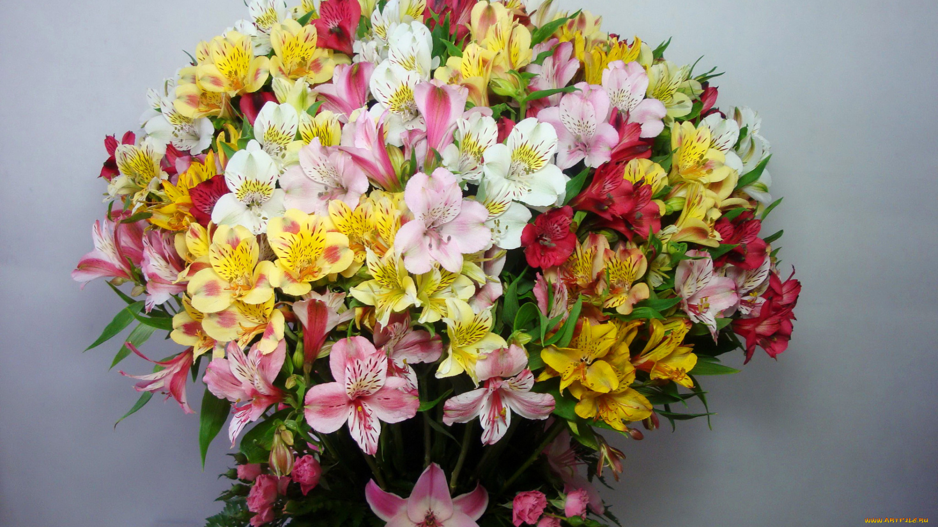 цветы, альстромерия, букет, альстромерии