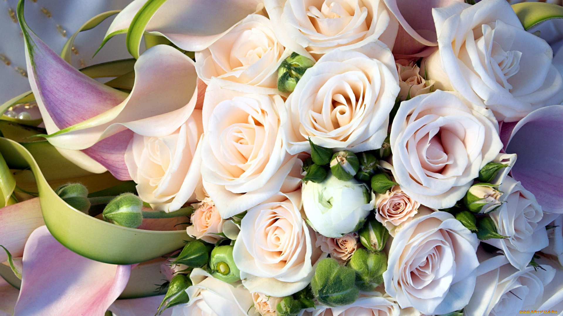 цветы, букеты, , композиции, бутоны, розы, каллы