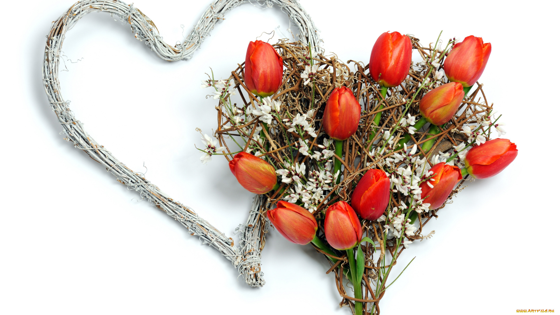 цветы, тюльпаны, композиция, сердце