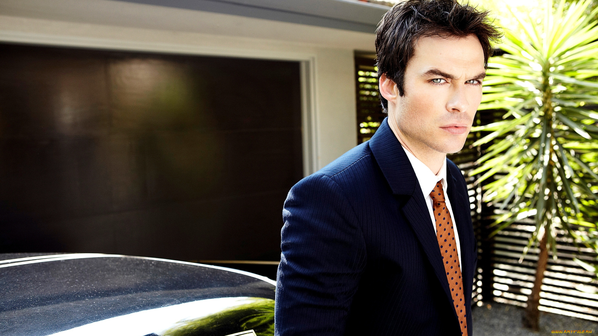 мужчины, ian, somerhalder, ian, somerhalder, парень, актёр, взгляд