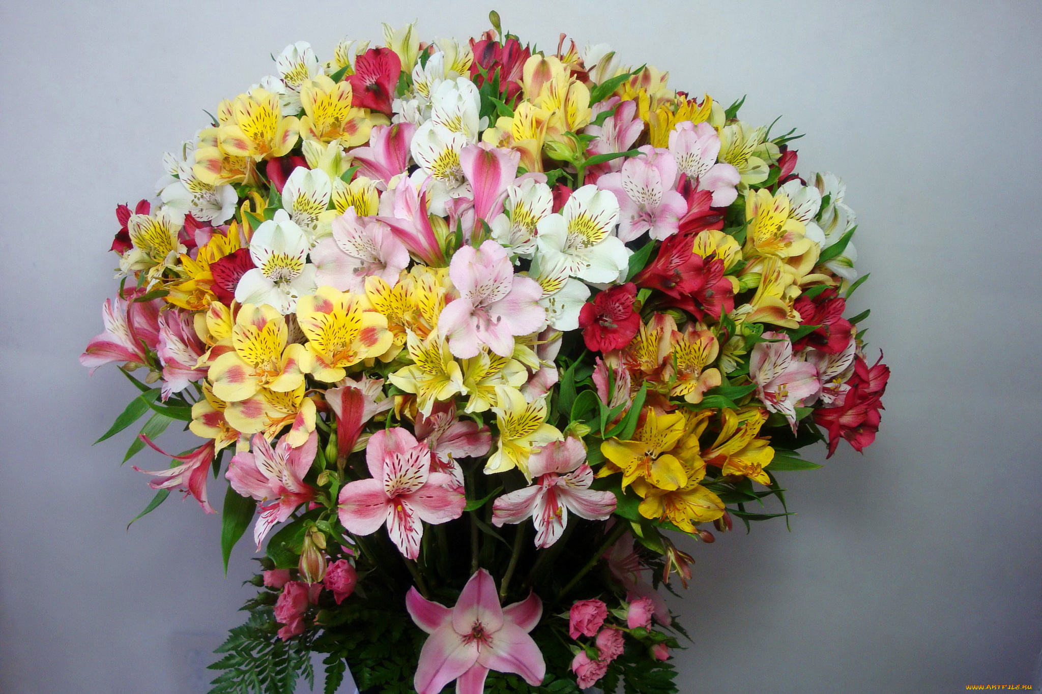 цветы, альстромерия, букет, альстромерии