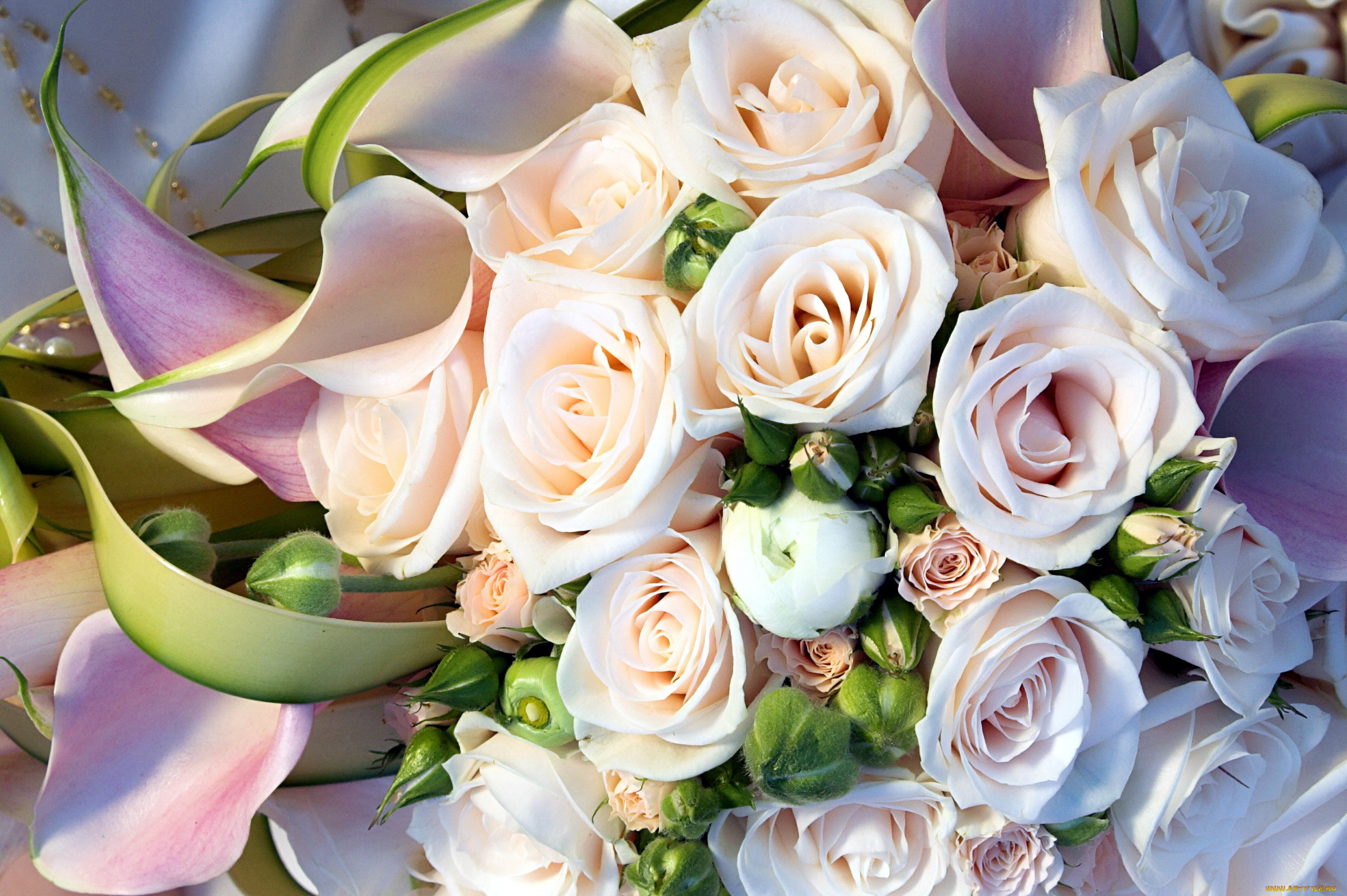 цветы, букеты, , композиции, бутоны, розы, каллы