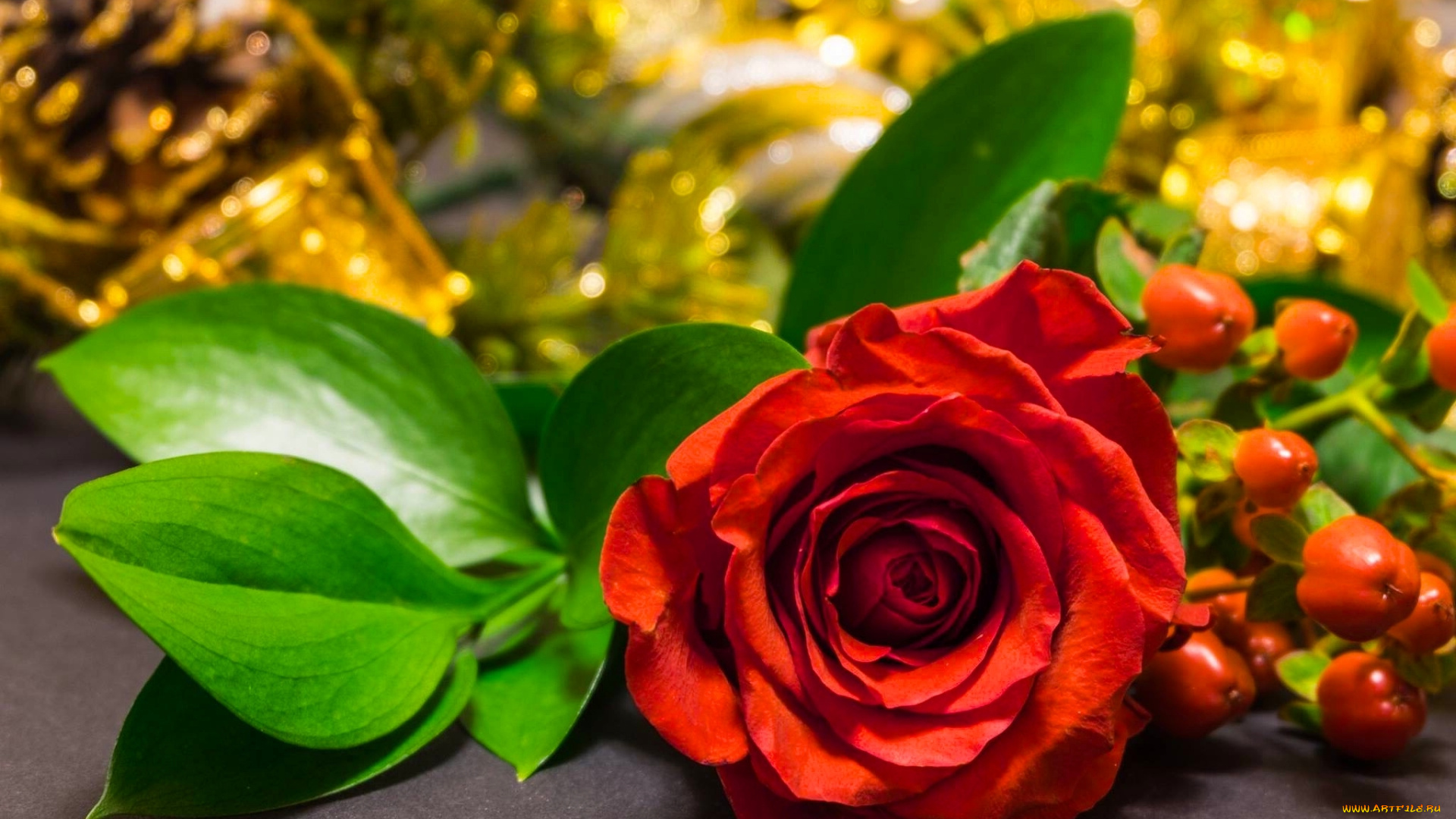 цветы, розы, листья, бутон, лепестки, роза