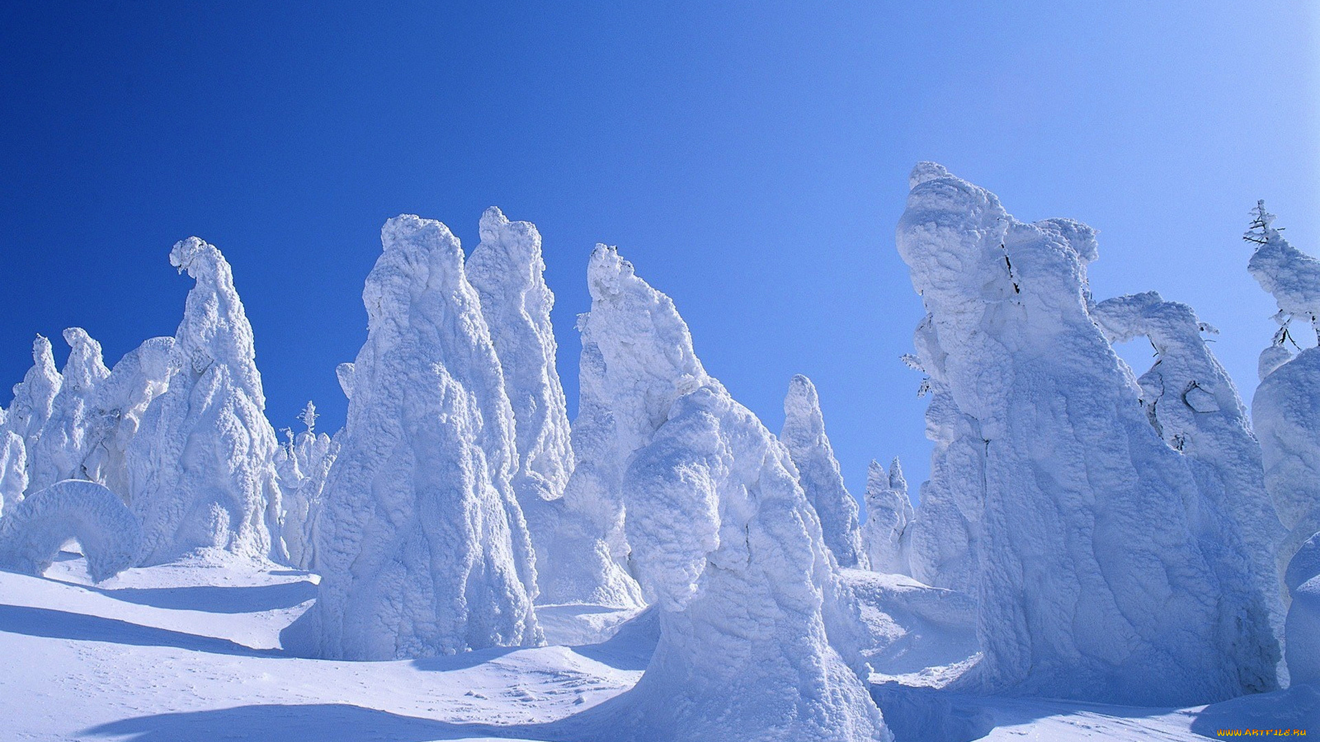 природа, зима, небо, лес, деревья, снег, мороз