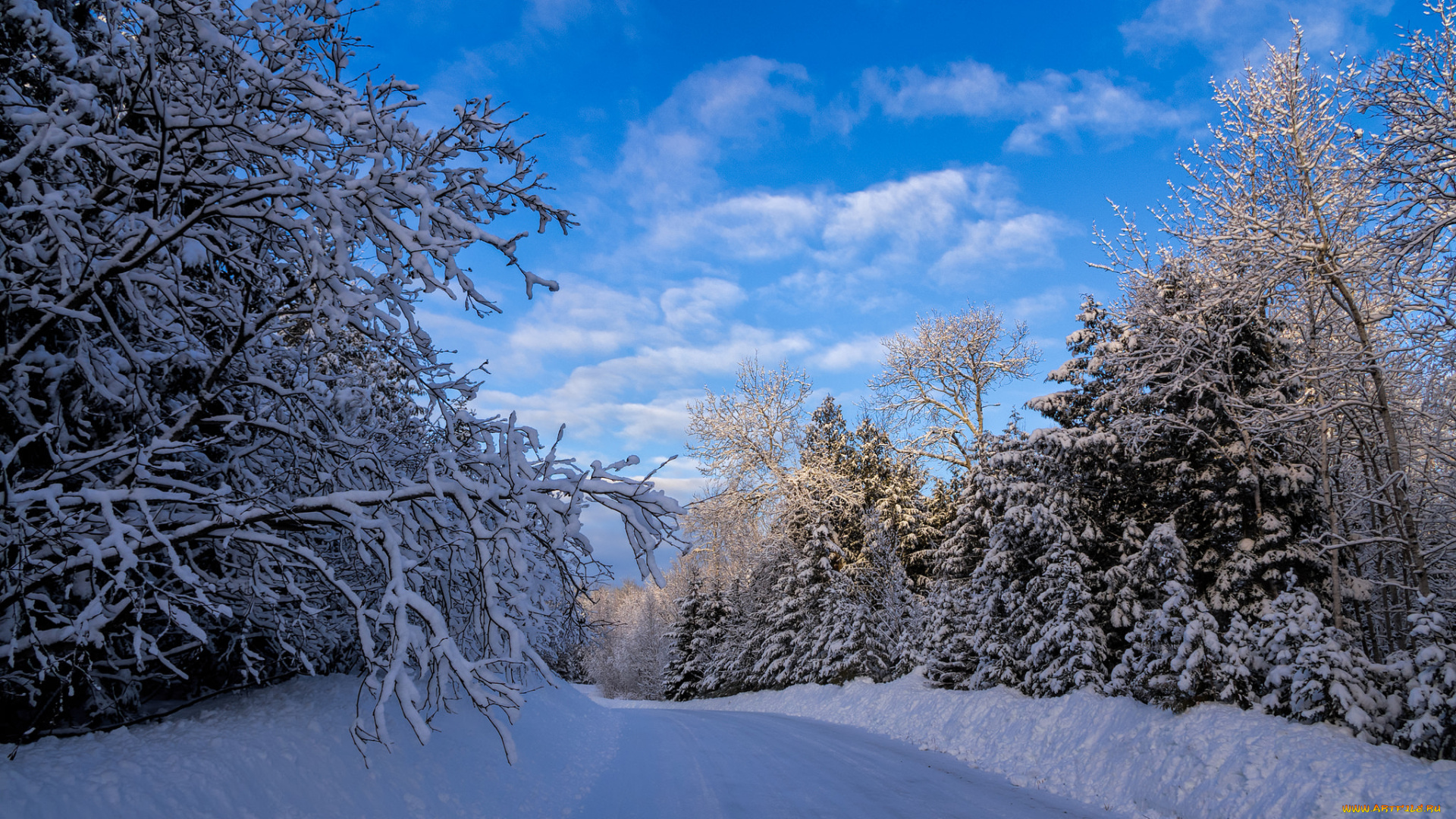 природа, зима, снег, лес