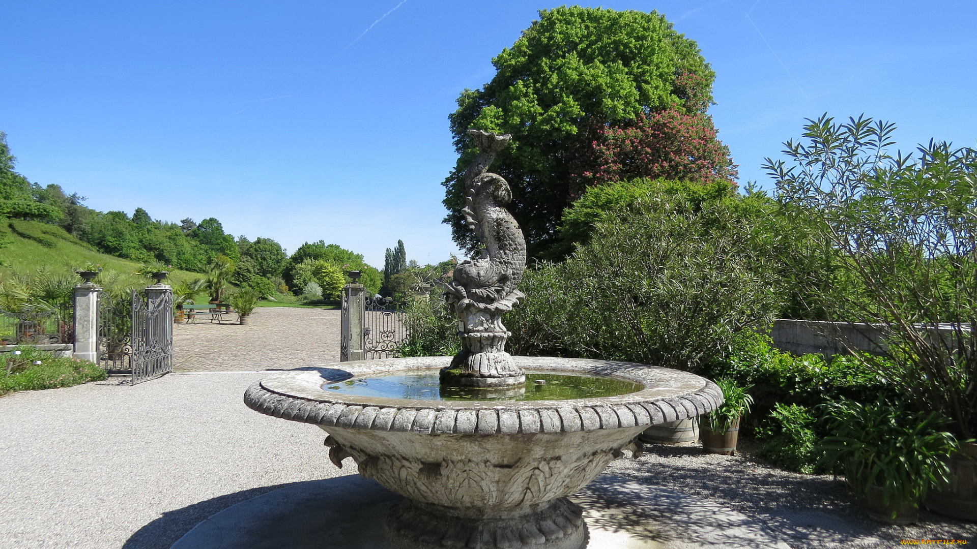 города, -, фонтаны, фонтан