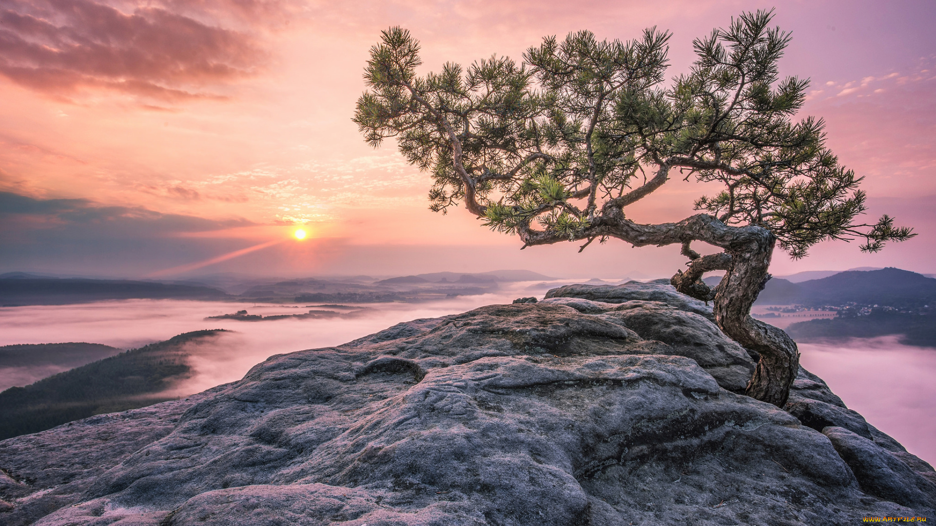 природа, пейзажи, простор