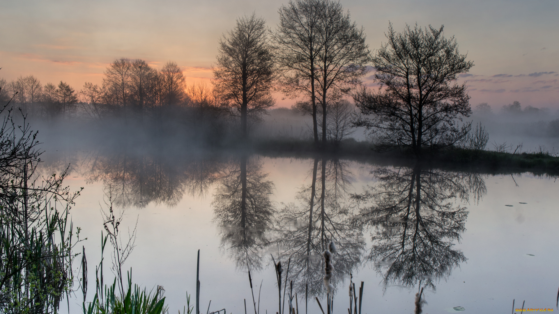 природа, реки, озера, лес, река