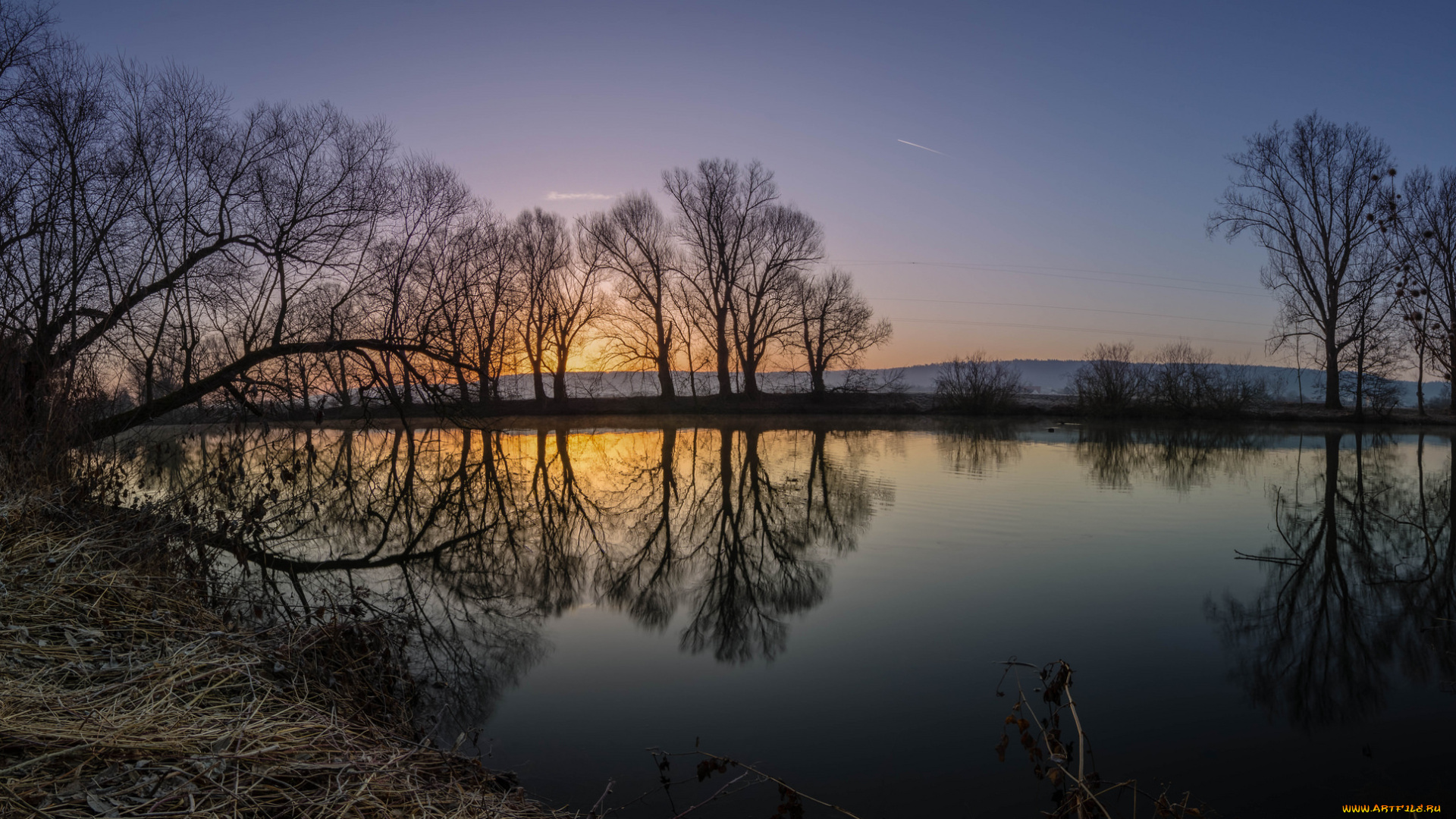 природа, реки, озера, лес, река