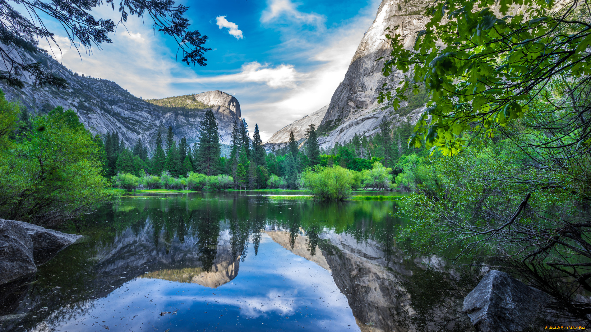 природа, реки, озера, река, лес