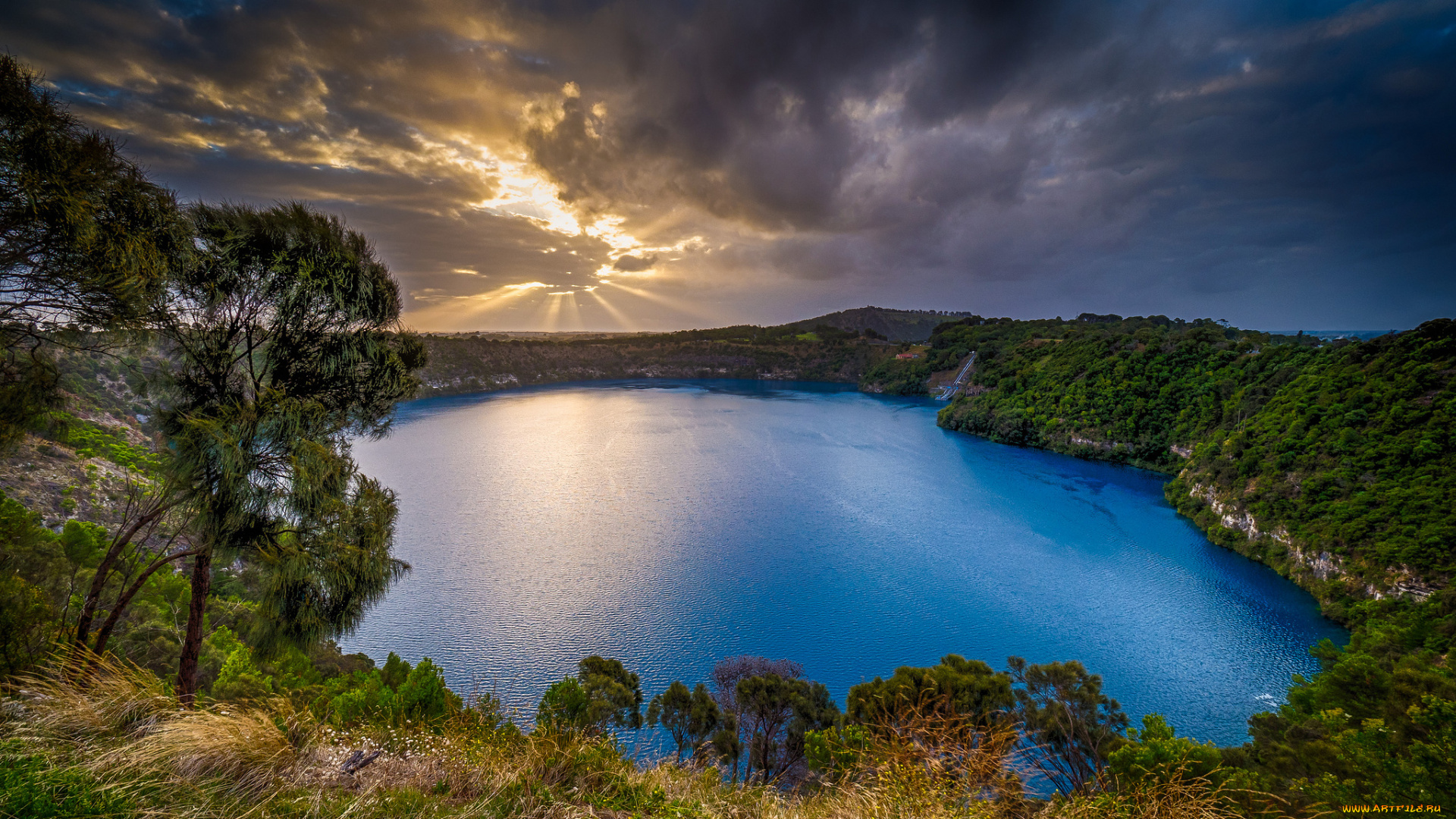 природа, реки, озера, река, лес