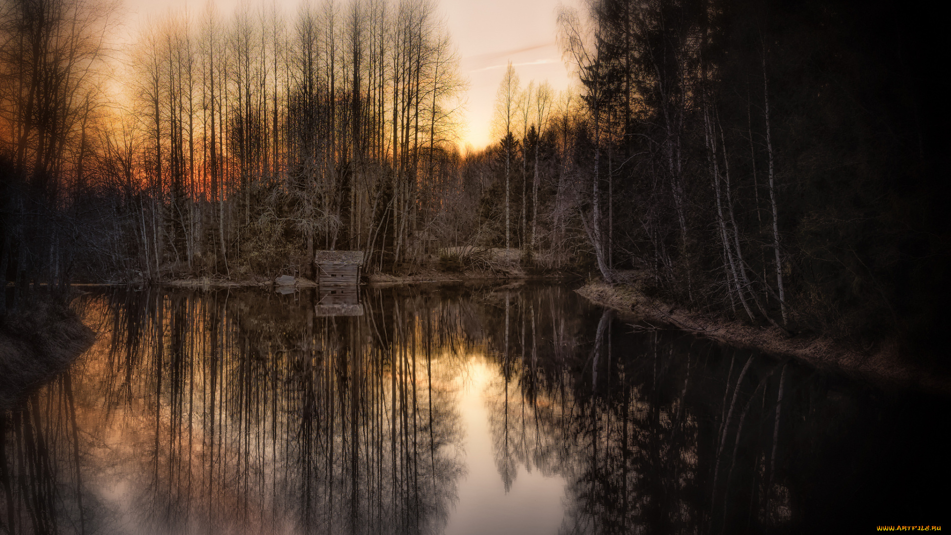 природа, реки, озера, река, лес, ночь