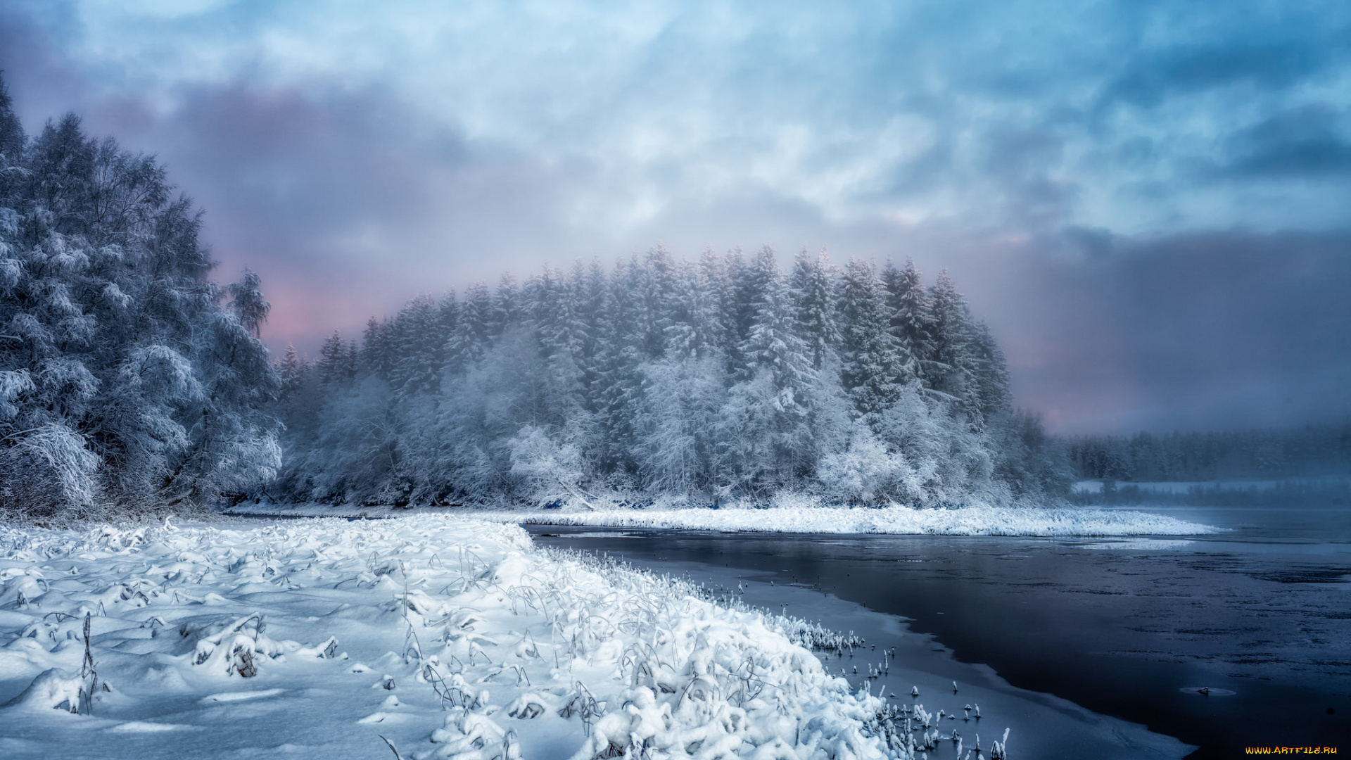 природа, зима, лес, река