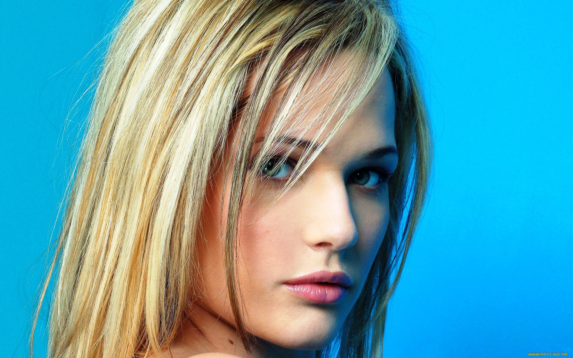 девушки, laura, chiatti, блондинка, лицо, laura, chiatti