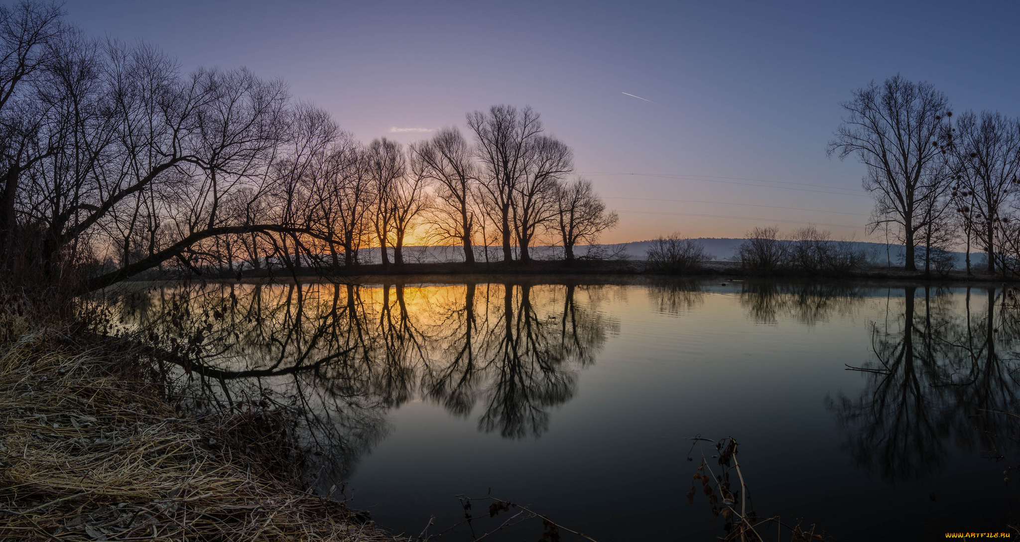 природа, реки, озера, лес, река