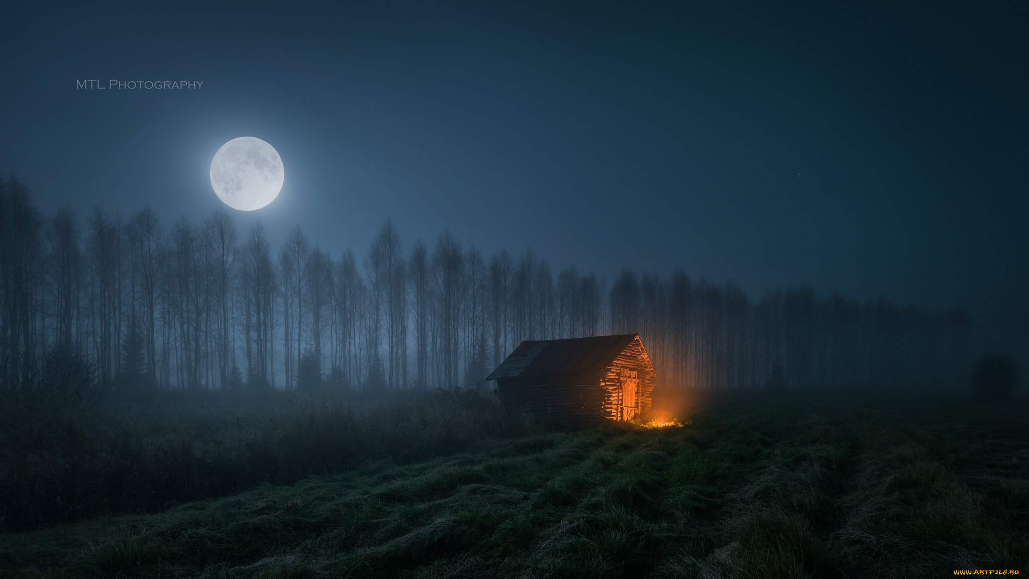 города, -, здания, , дома, ночь, лес, дом, луна