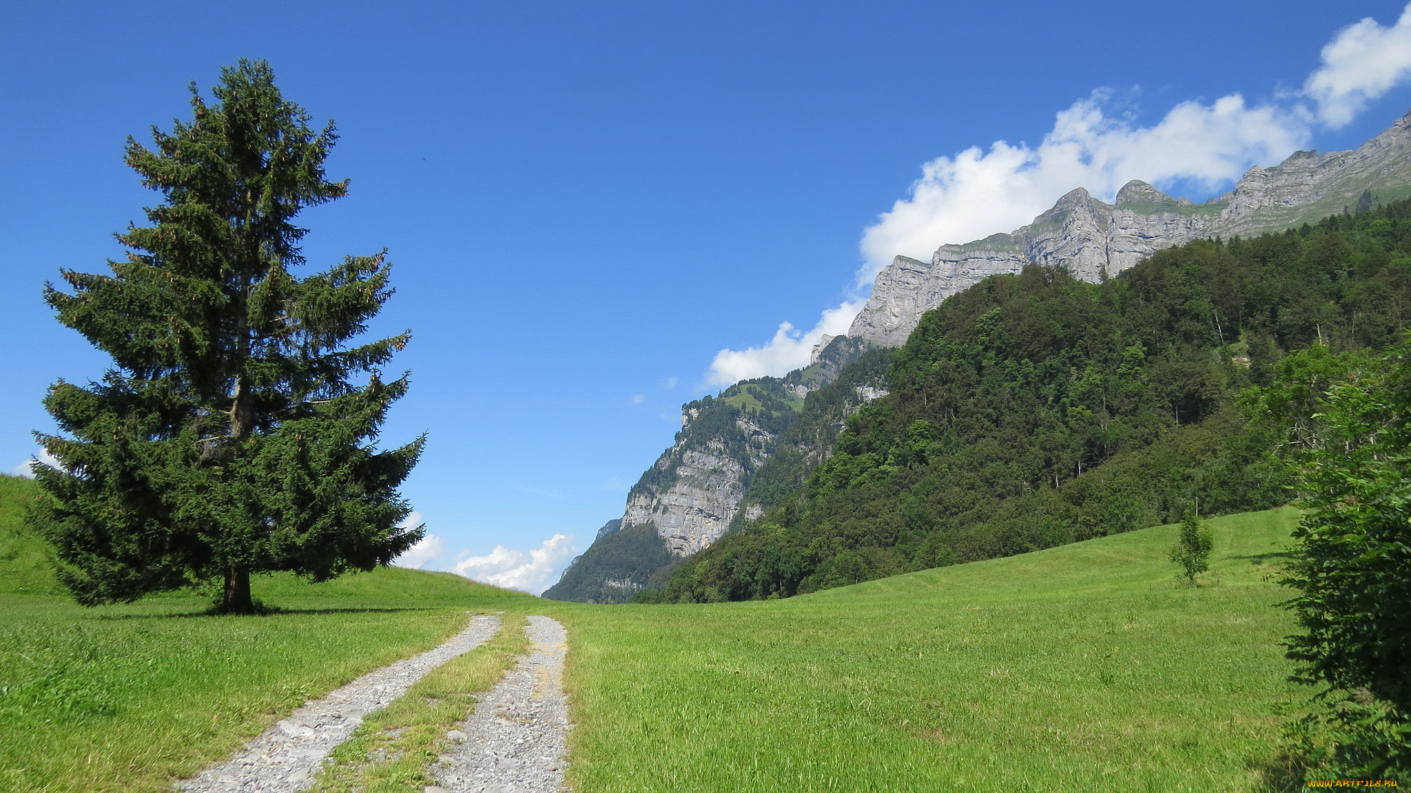 природа, дороги, горы, дорога, лето